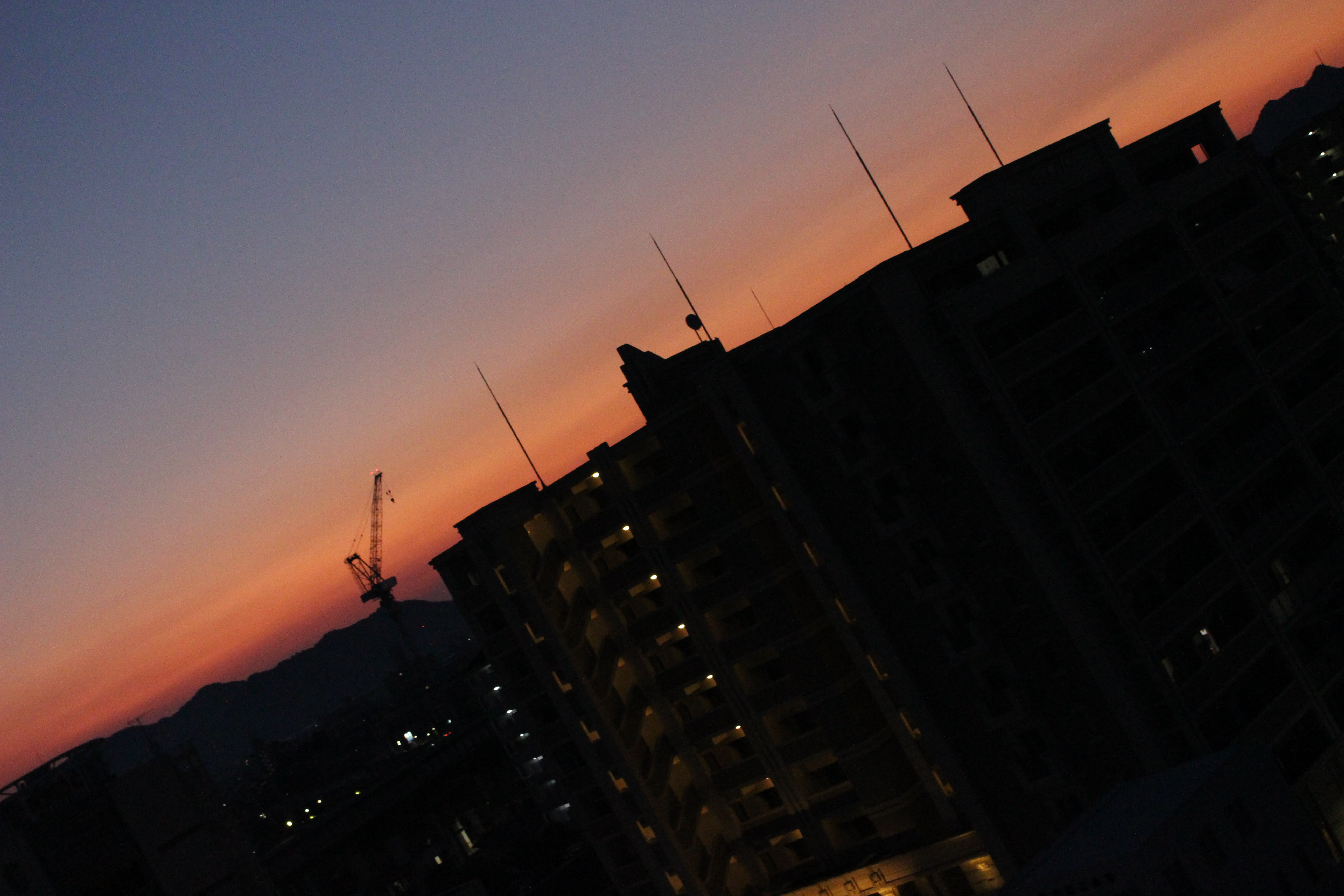 朝の香り