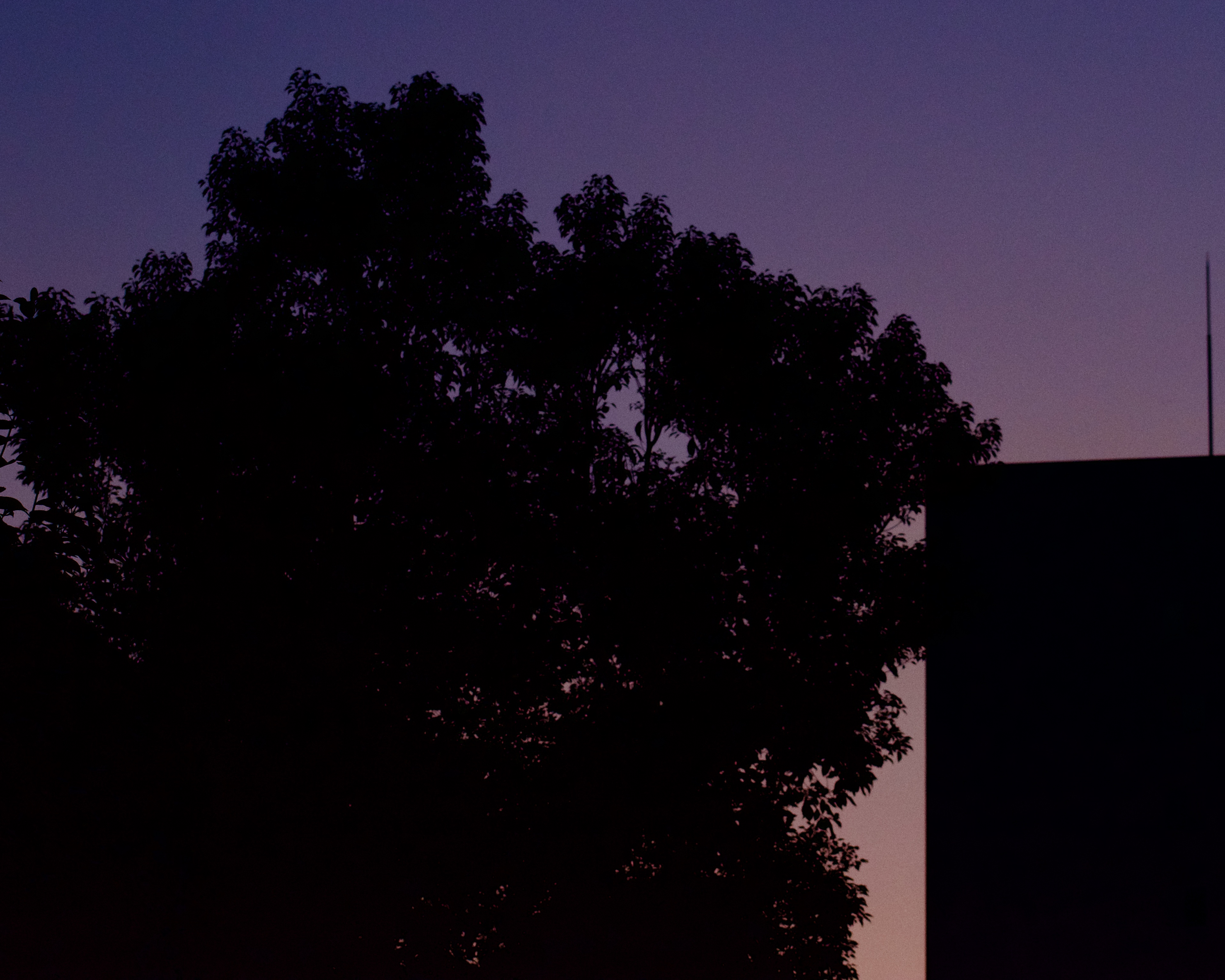 夕刻