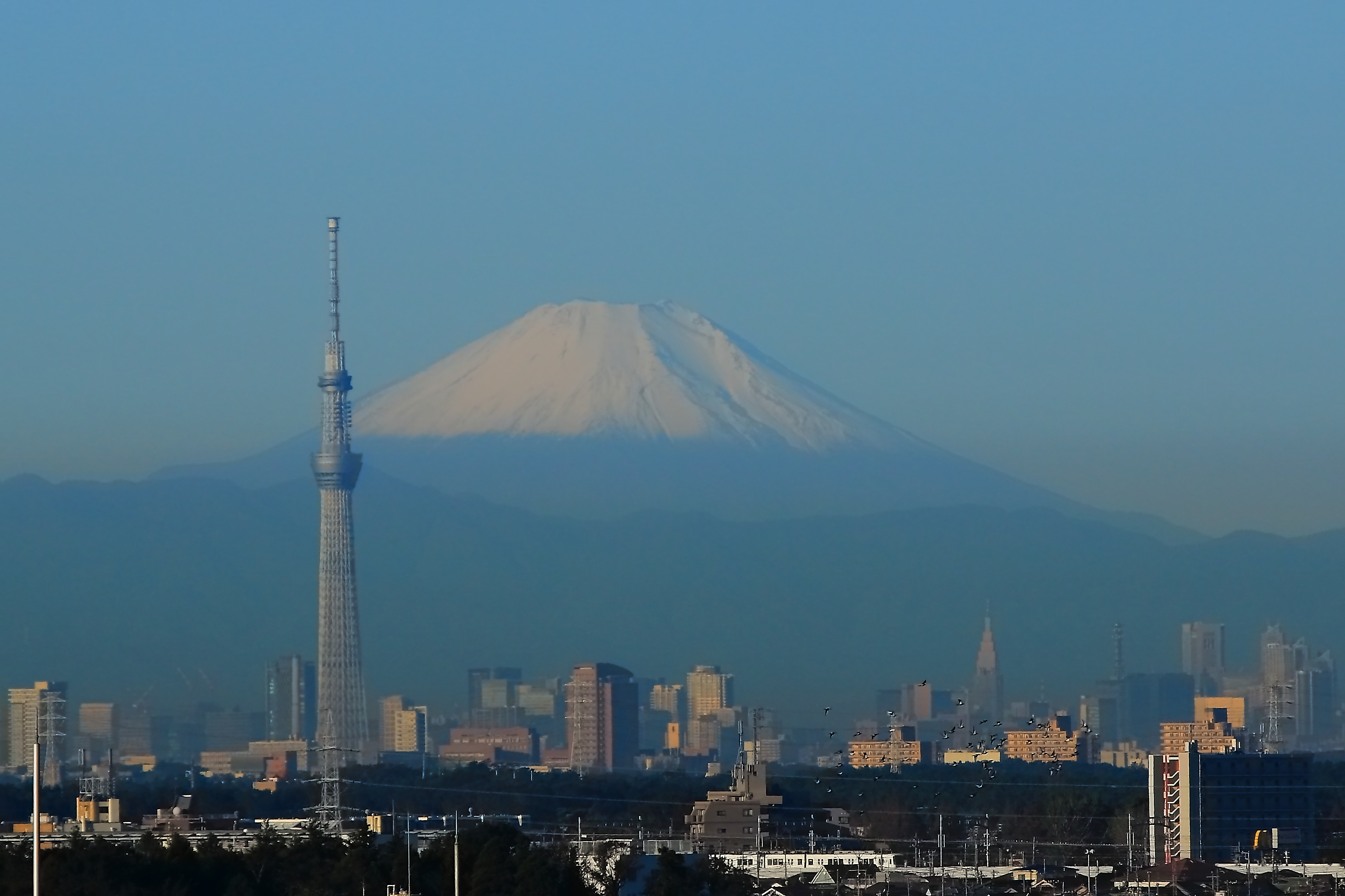 初冠雪に平和の象徴