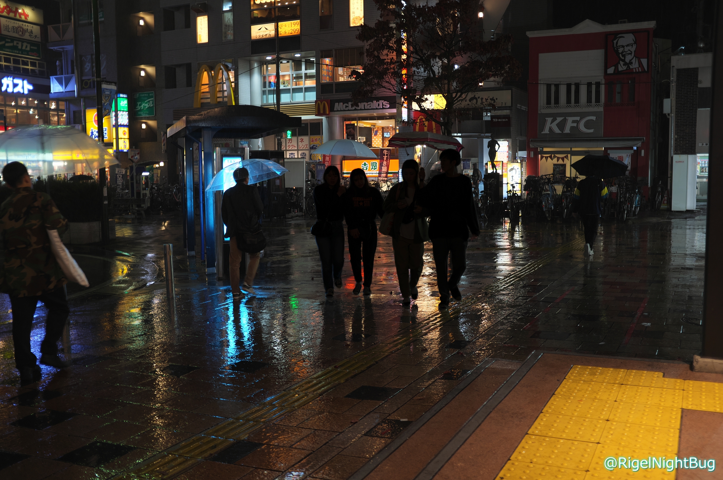 雨の情景 C