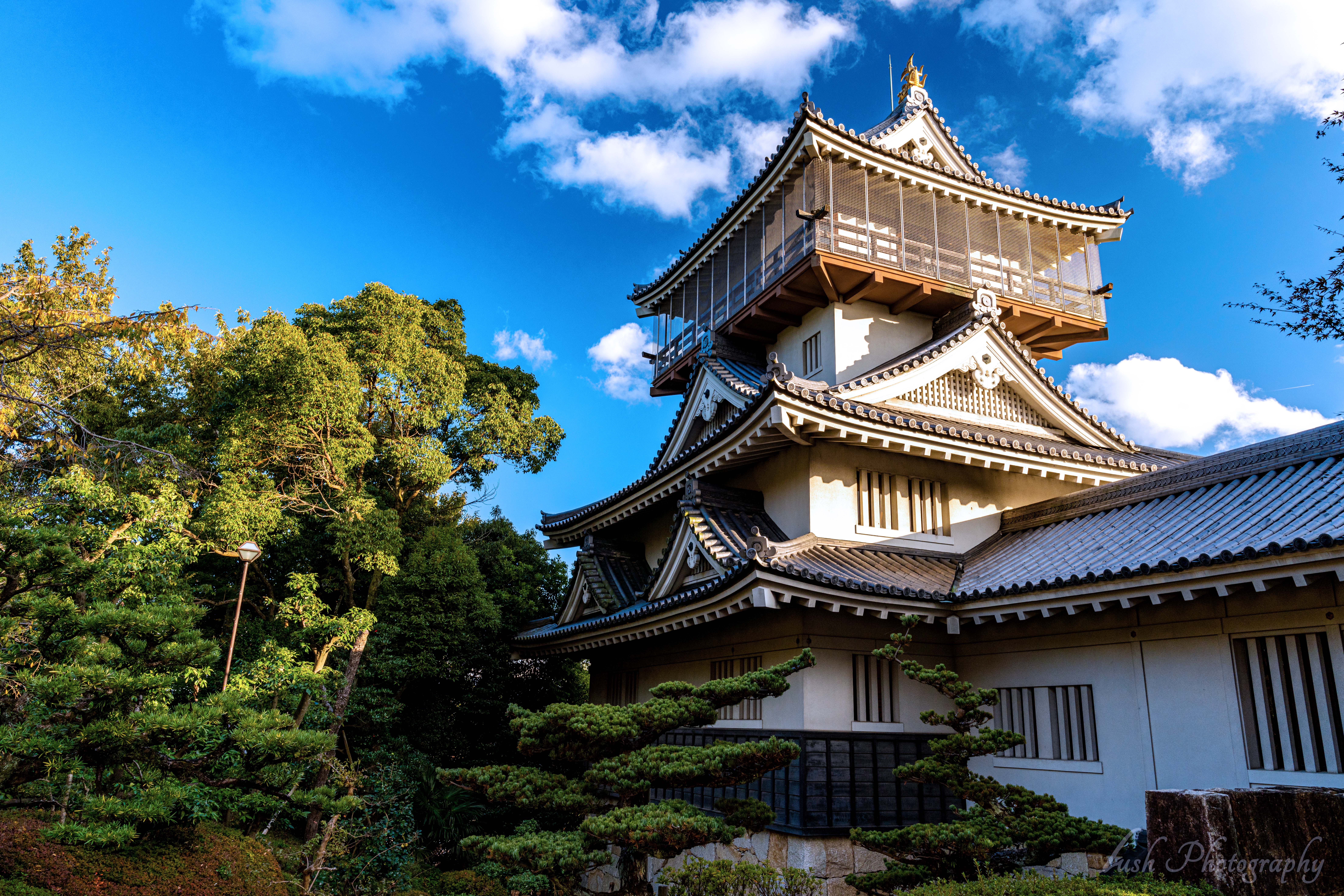 岩崎城・・・・
