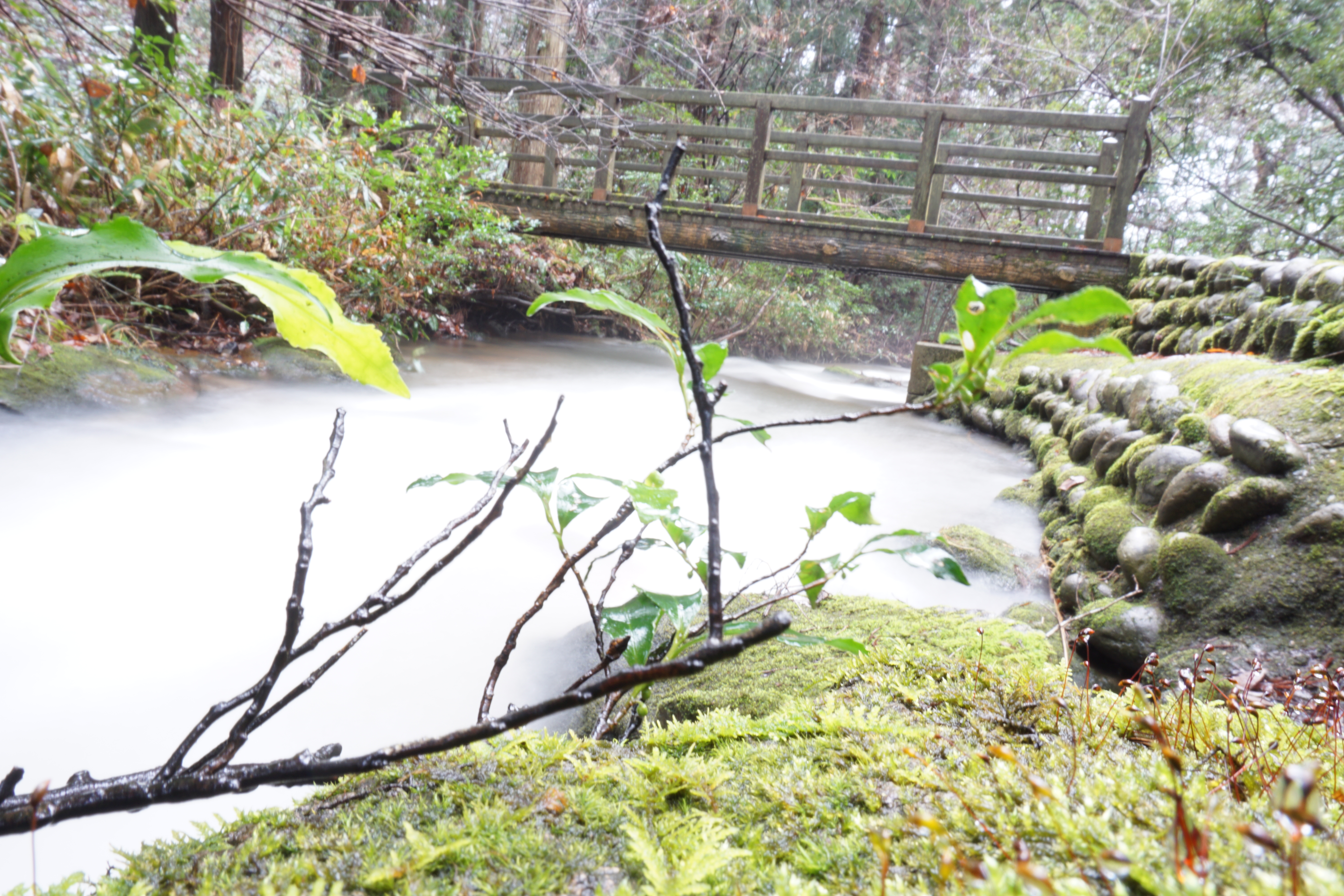 白糸川に架かる橋
