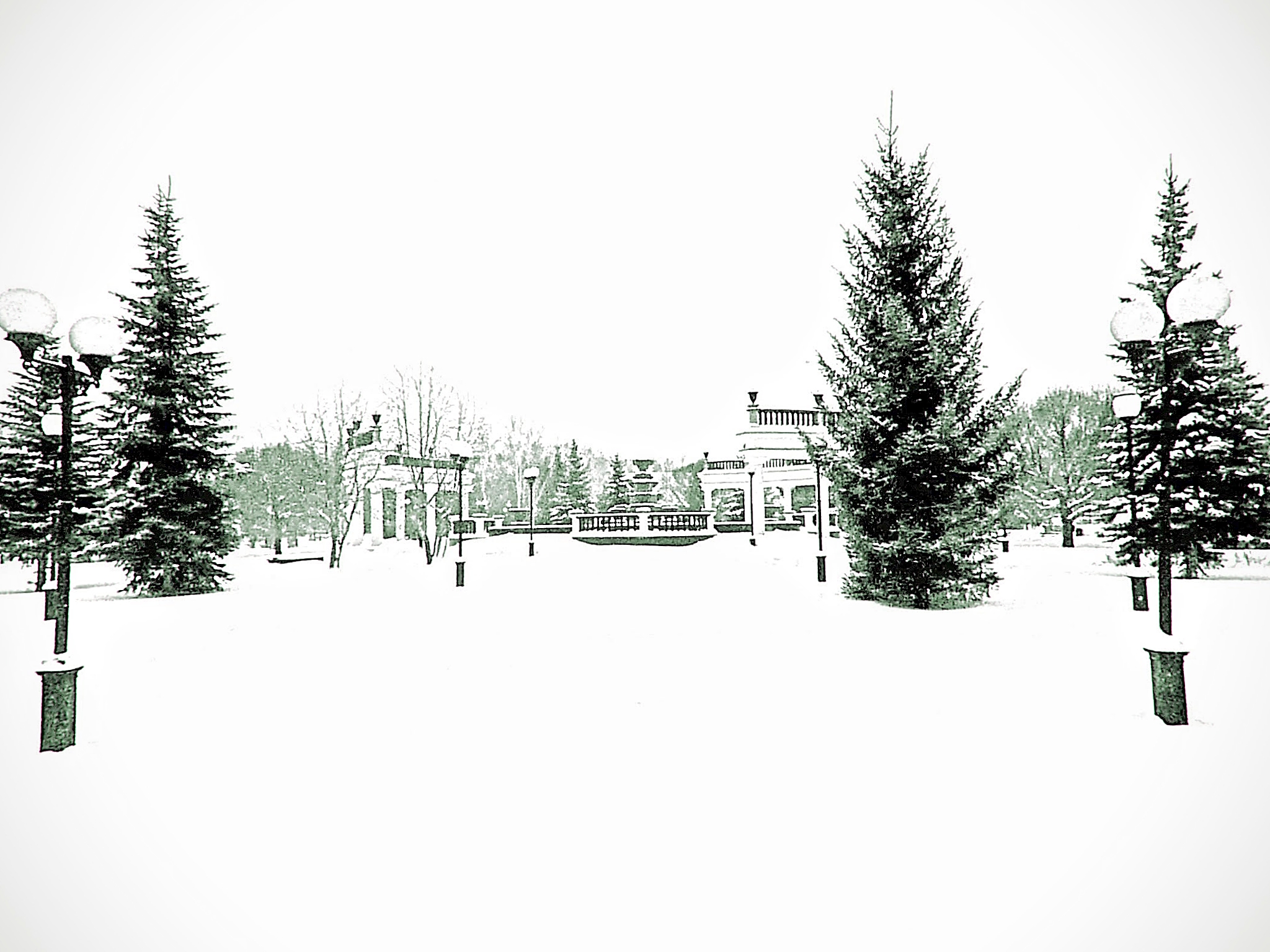 В зимнем паркею
