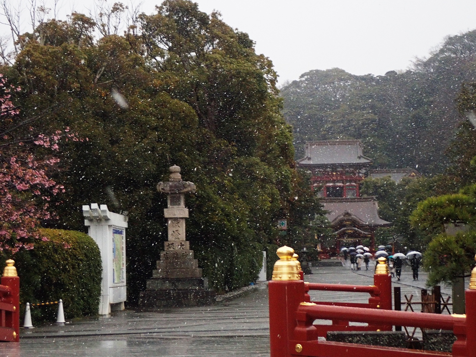 春のみぞれの八幡宮