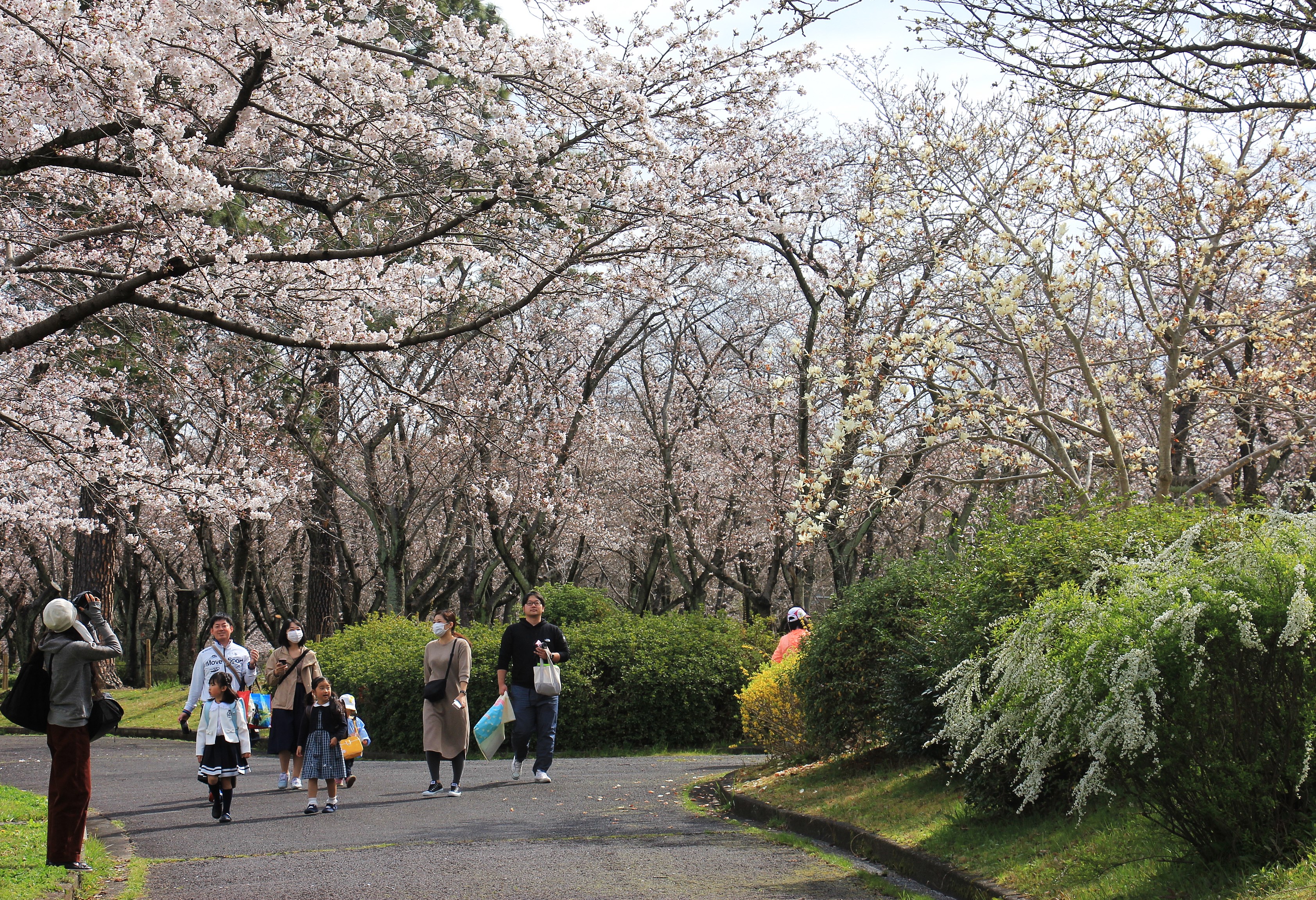 穏やかな公園風景