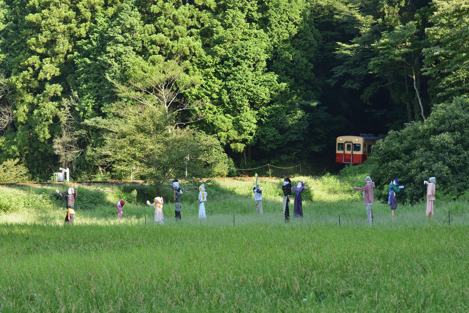 君たちは集まってもコロナ感染しないからいいね