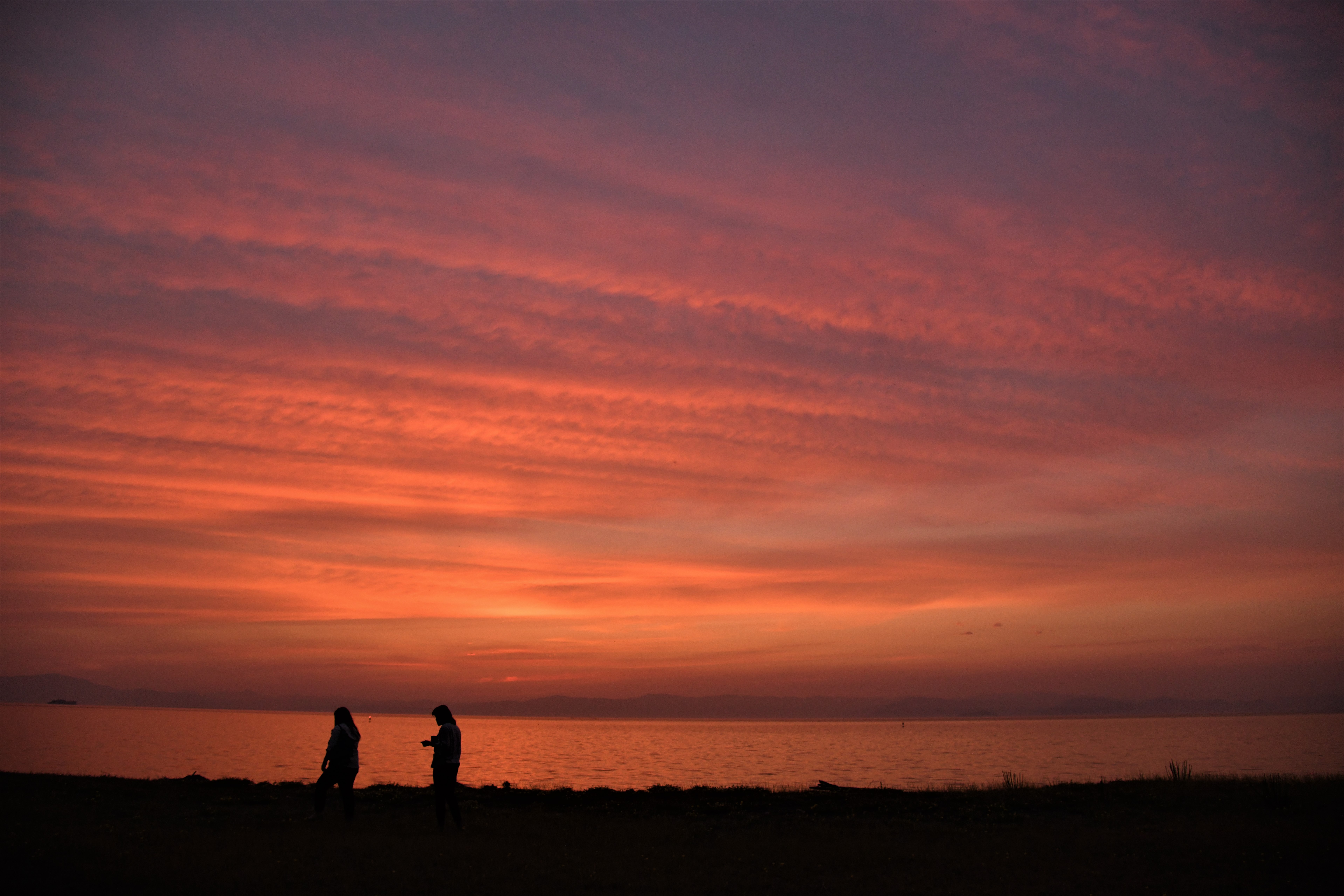 夕暮れ 散歩