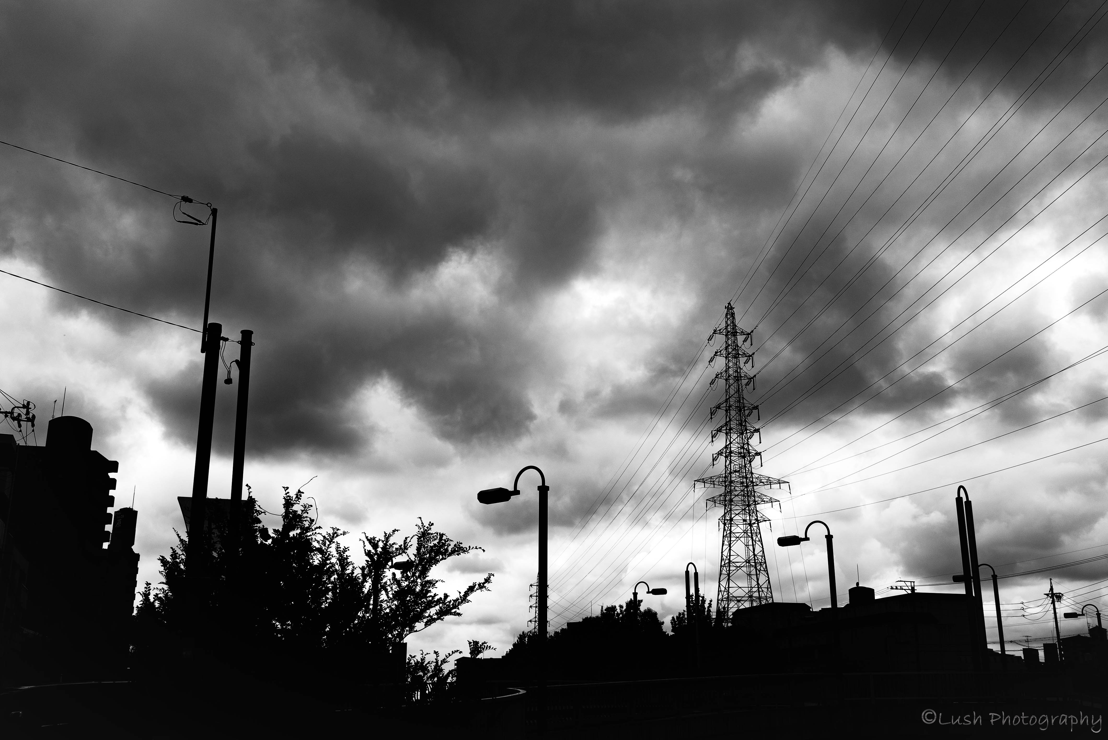 梅雨入り・・・