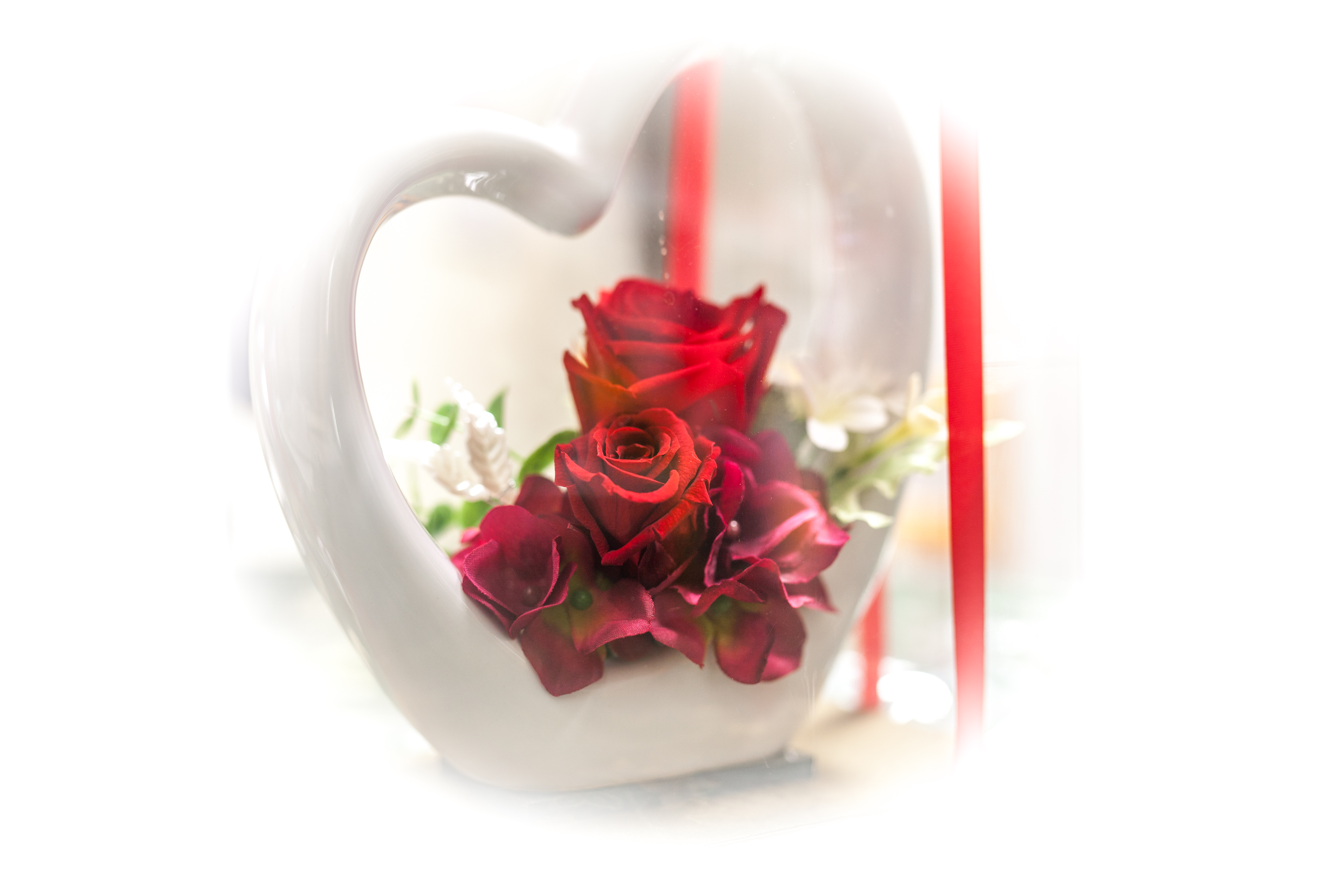 夢中の薔薇