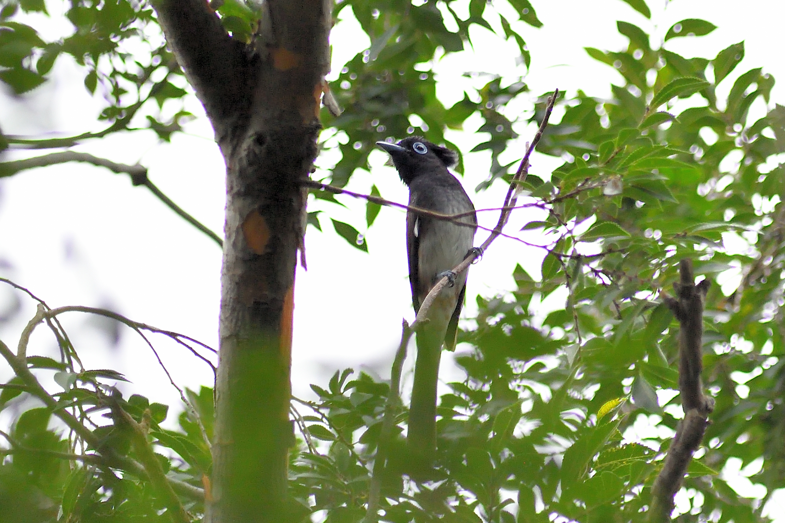 これから南方へ!