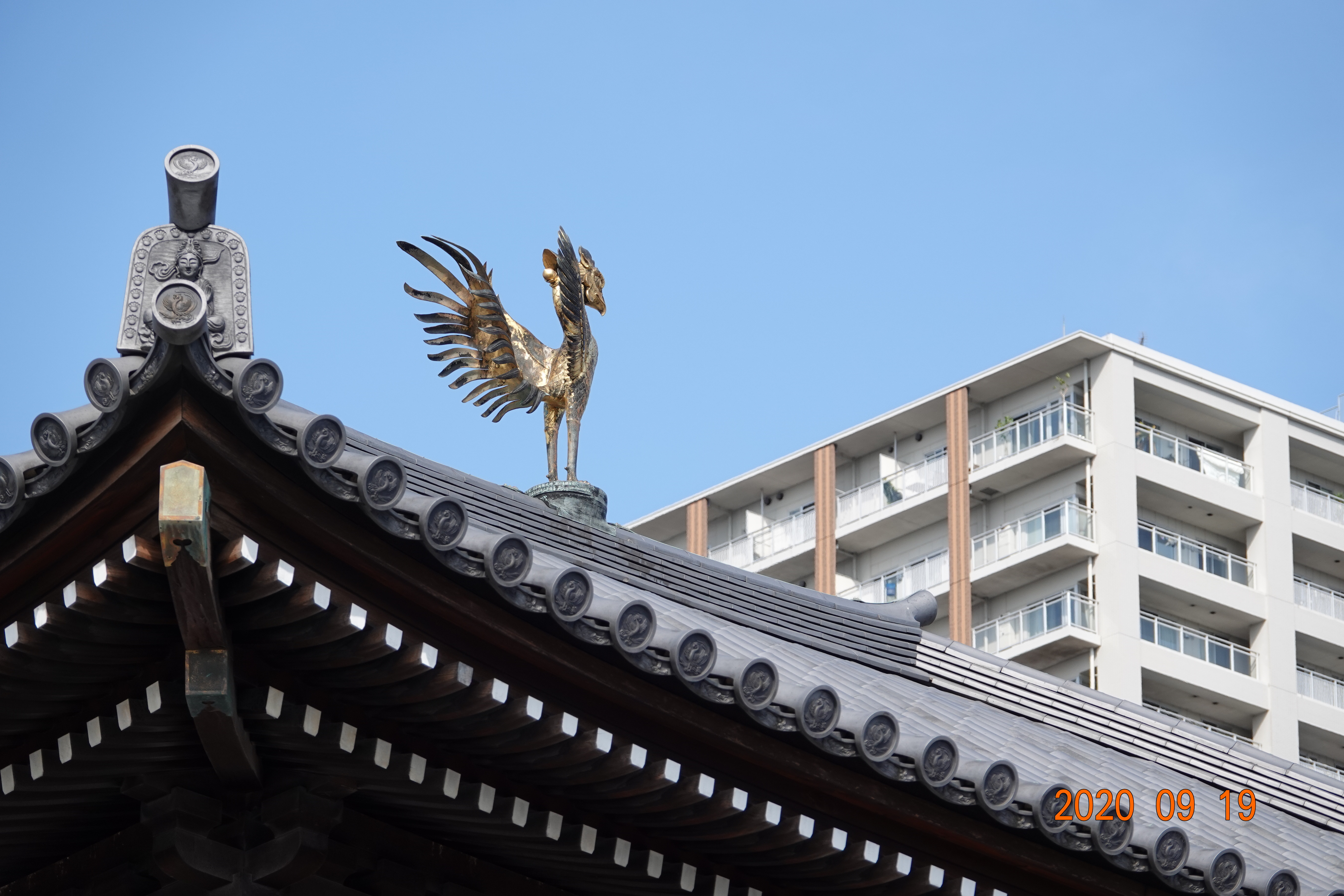 マンションが見えます!