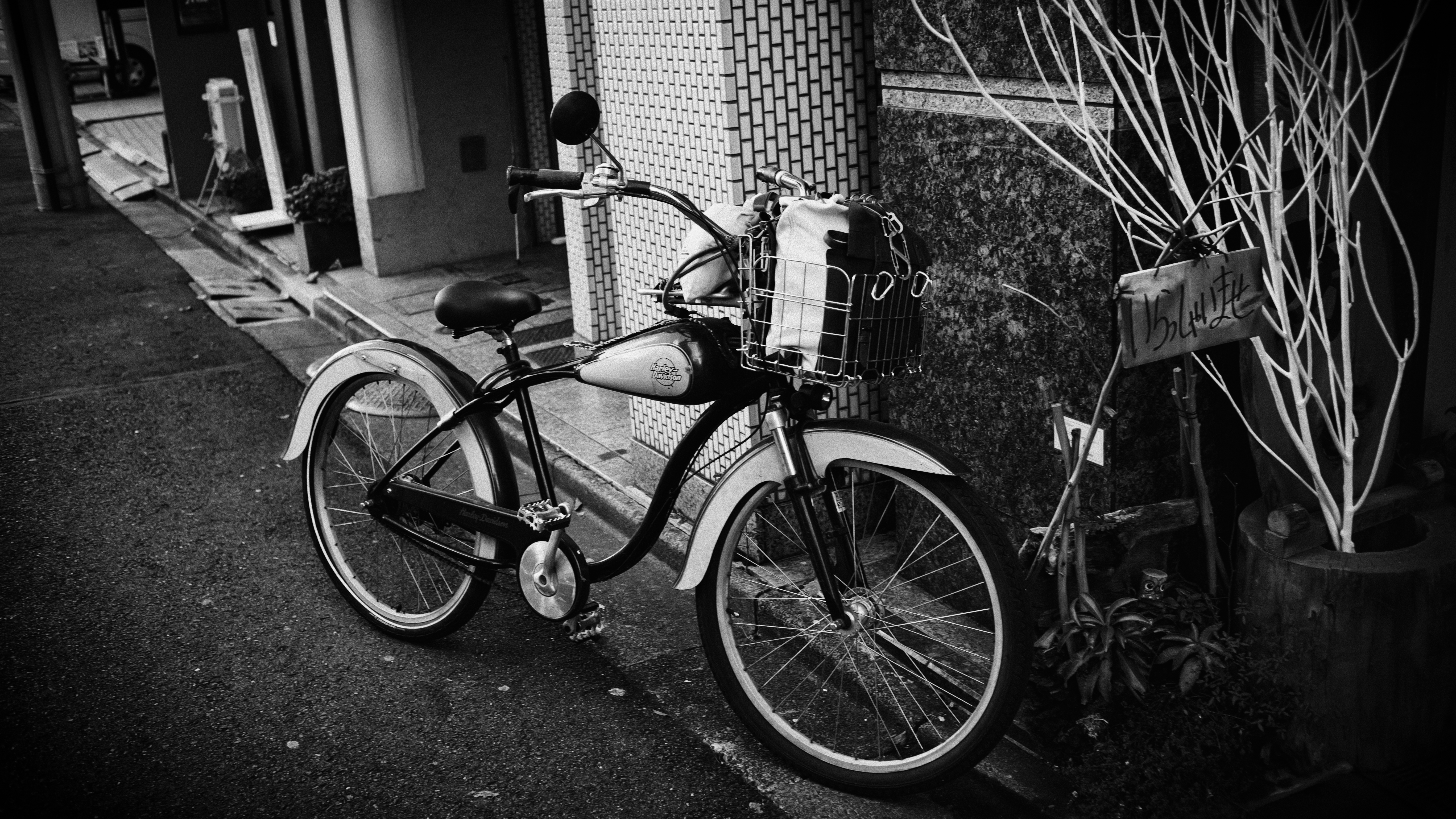 Easy Rider(Low speed type)