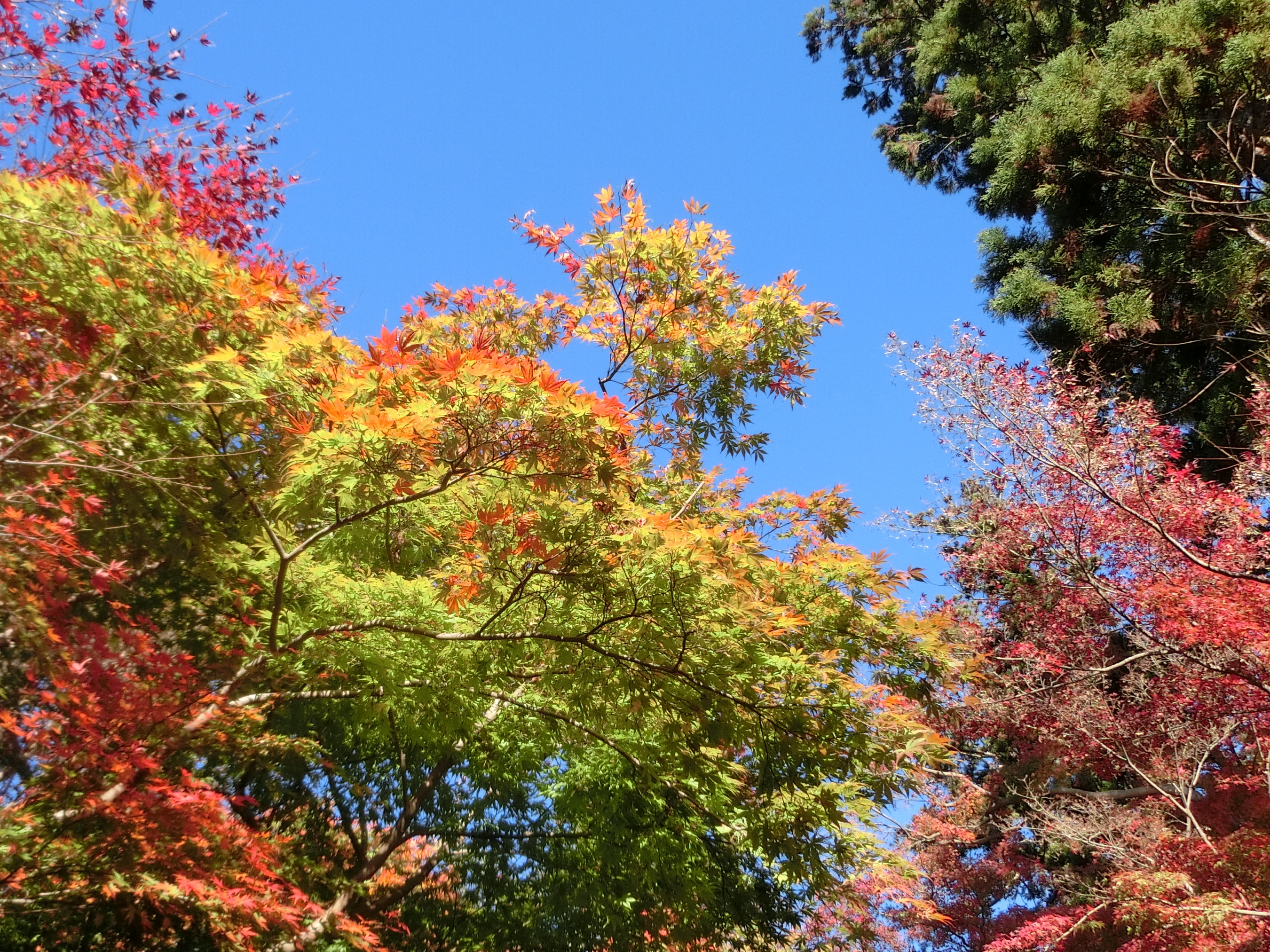 赤と緑の時間その1