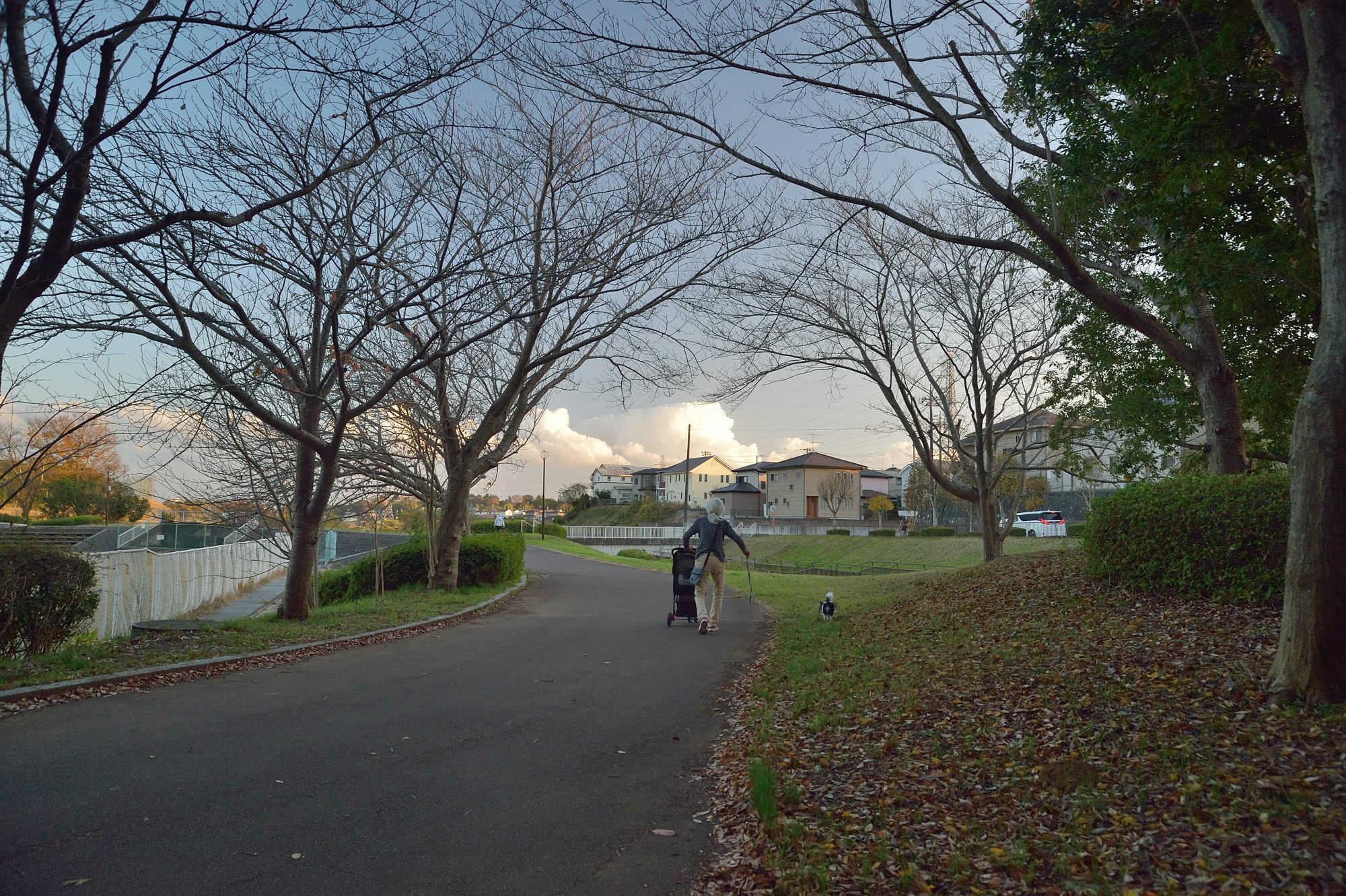 晩秋