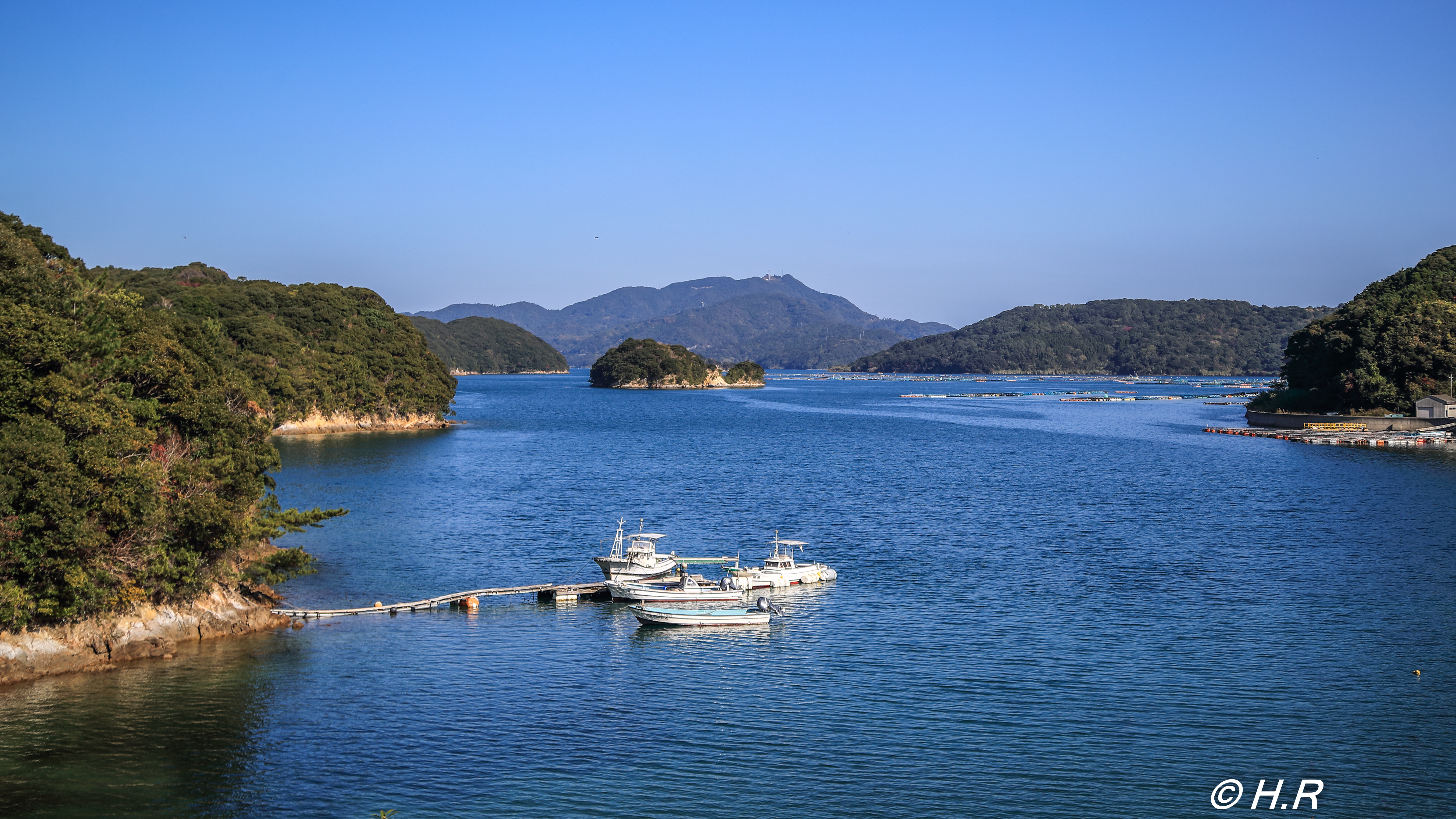 八代海
