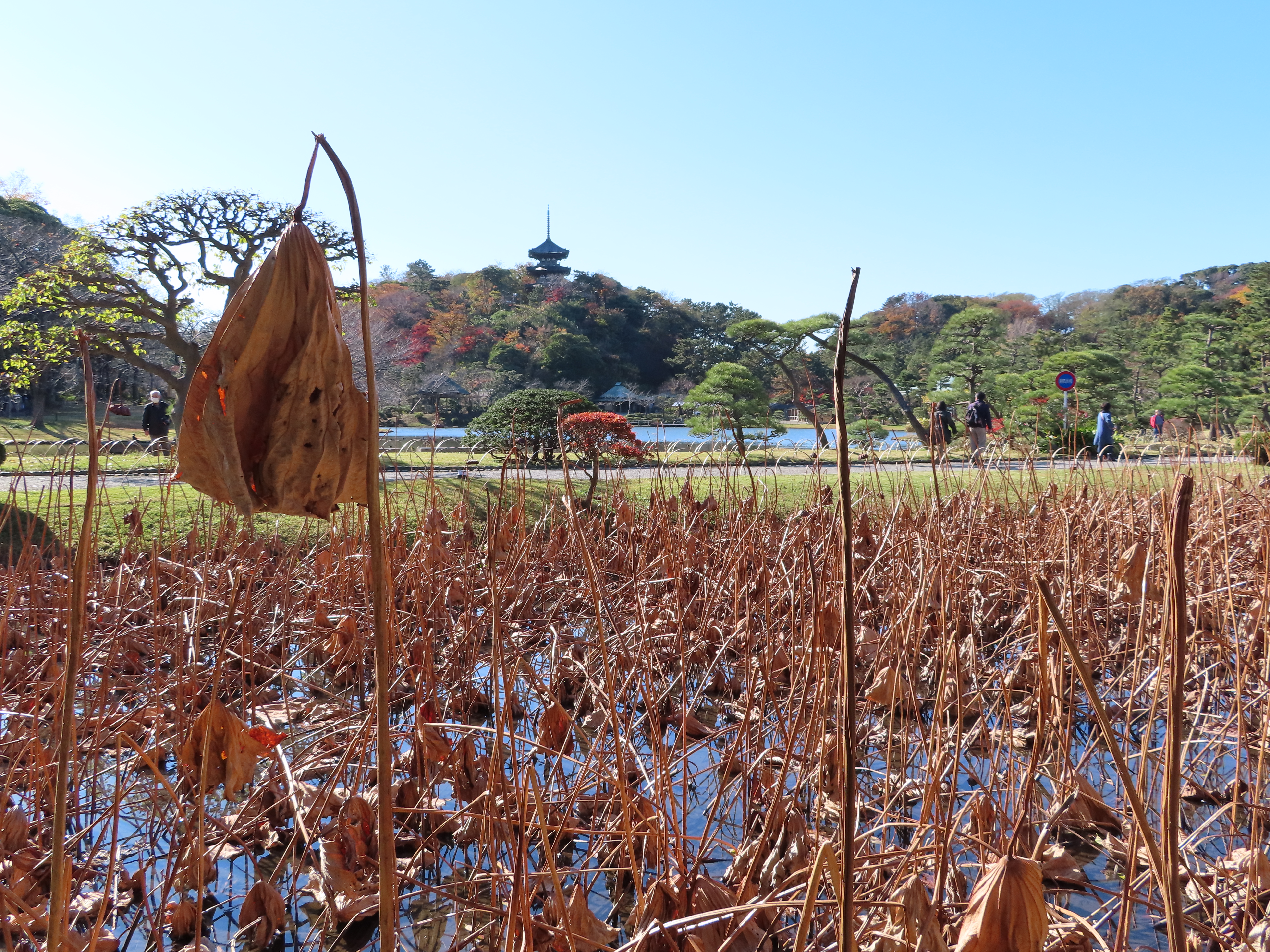 宴の後