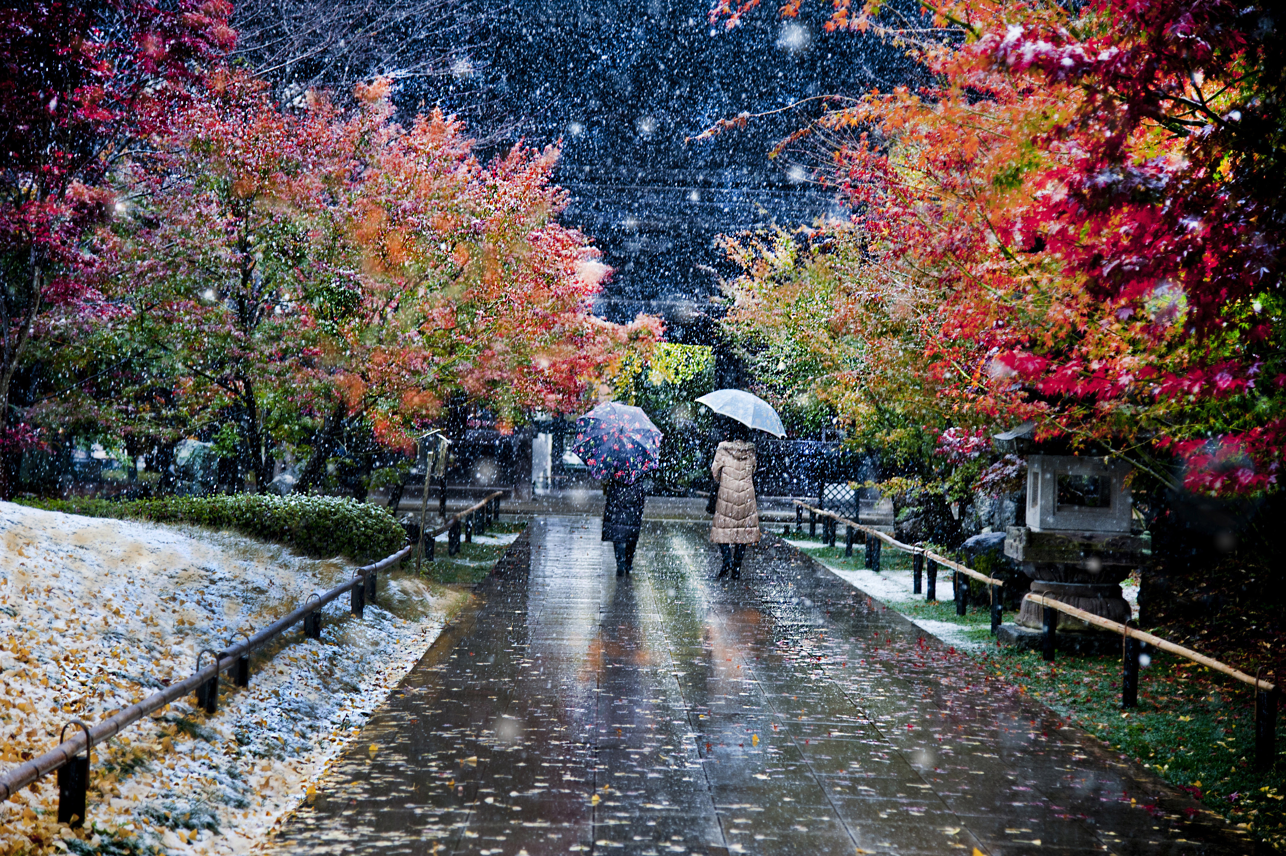 細雪