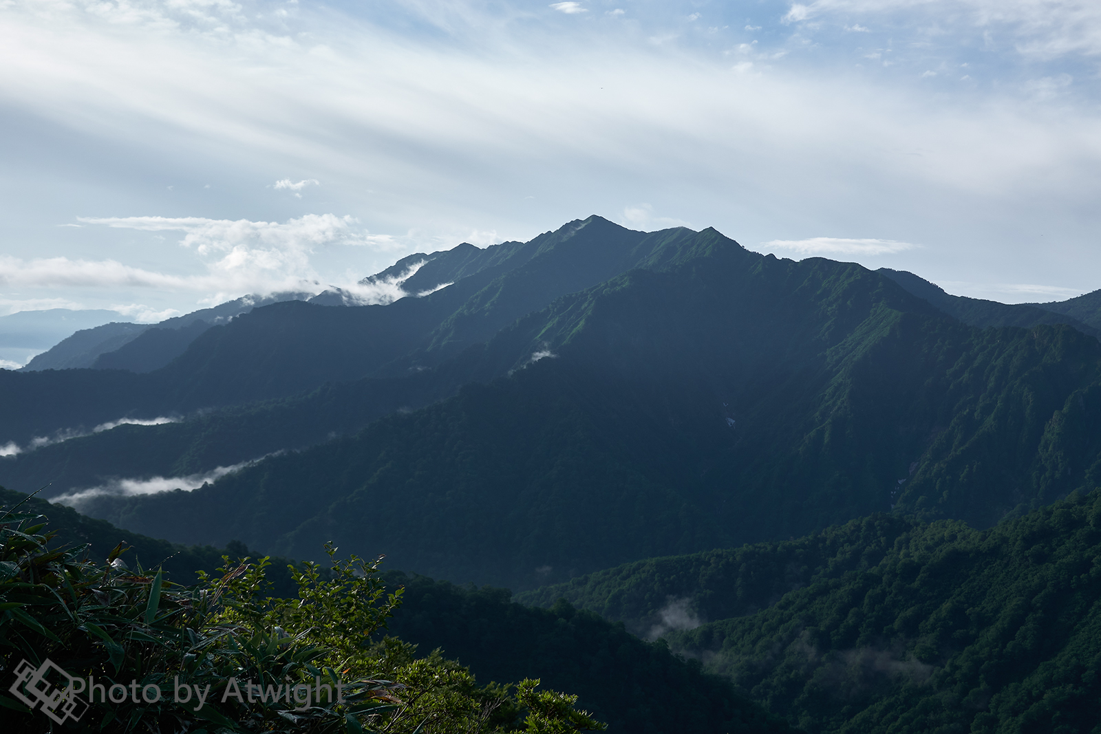 First view