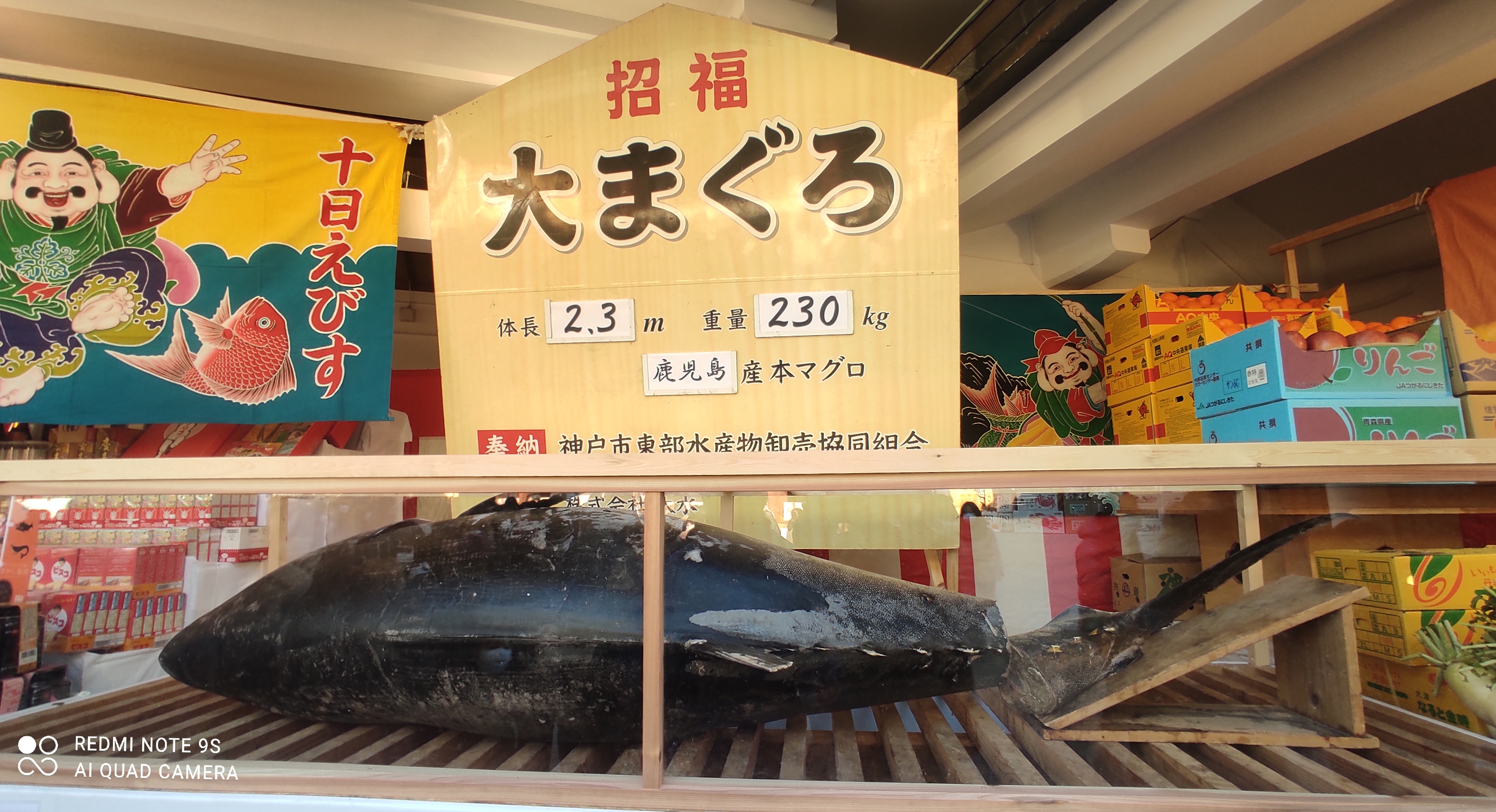 今年は貼り付けられません( ̄¬ ̄*)。