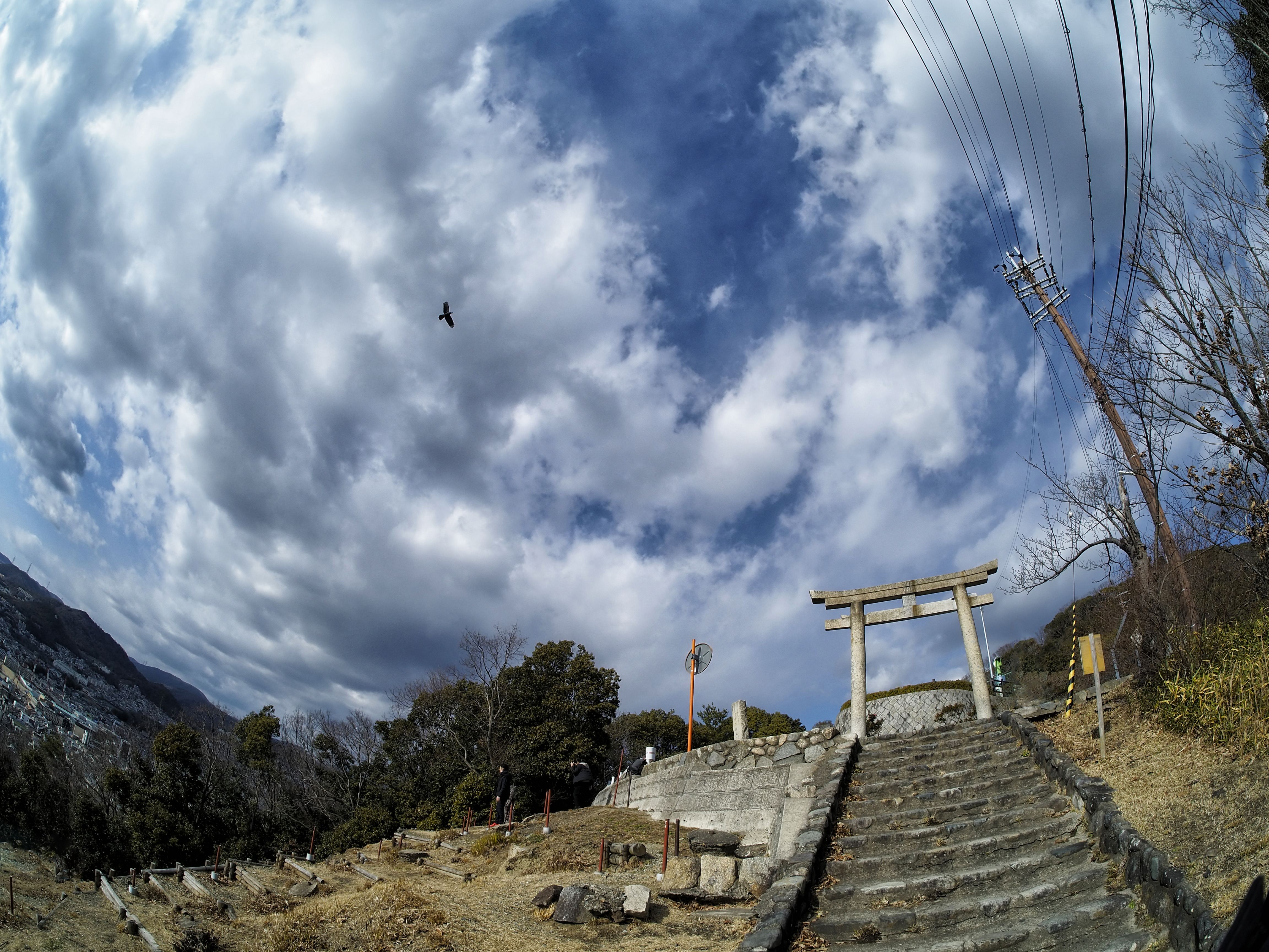 一の鳥居と廻る鷹。