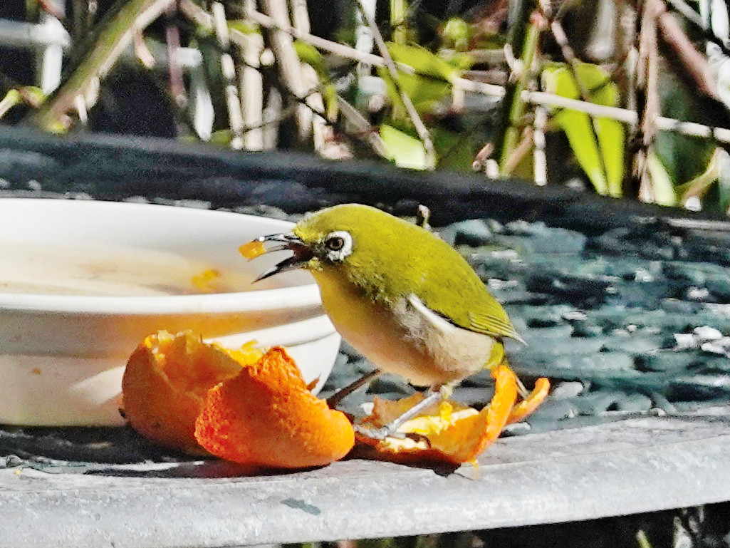 舌を使って