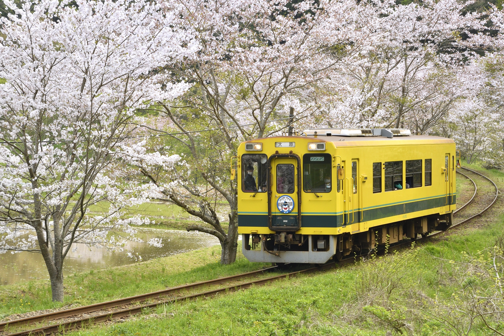 いすみ鉄道春の乗り鉄
