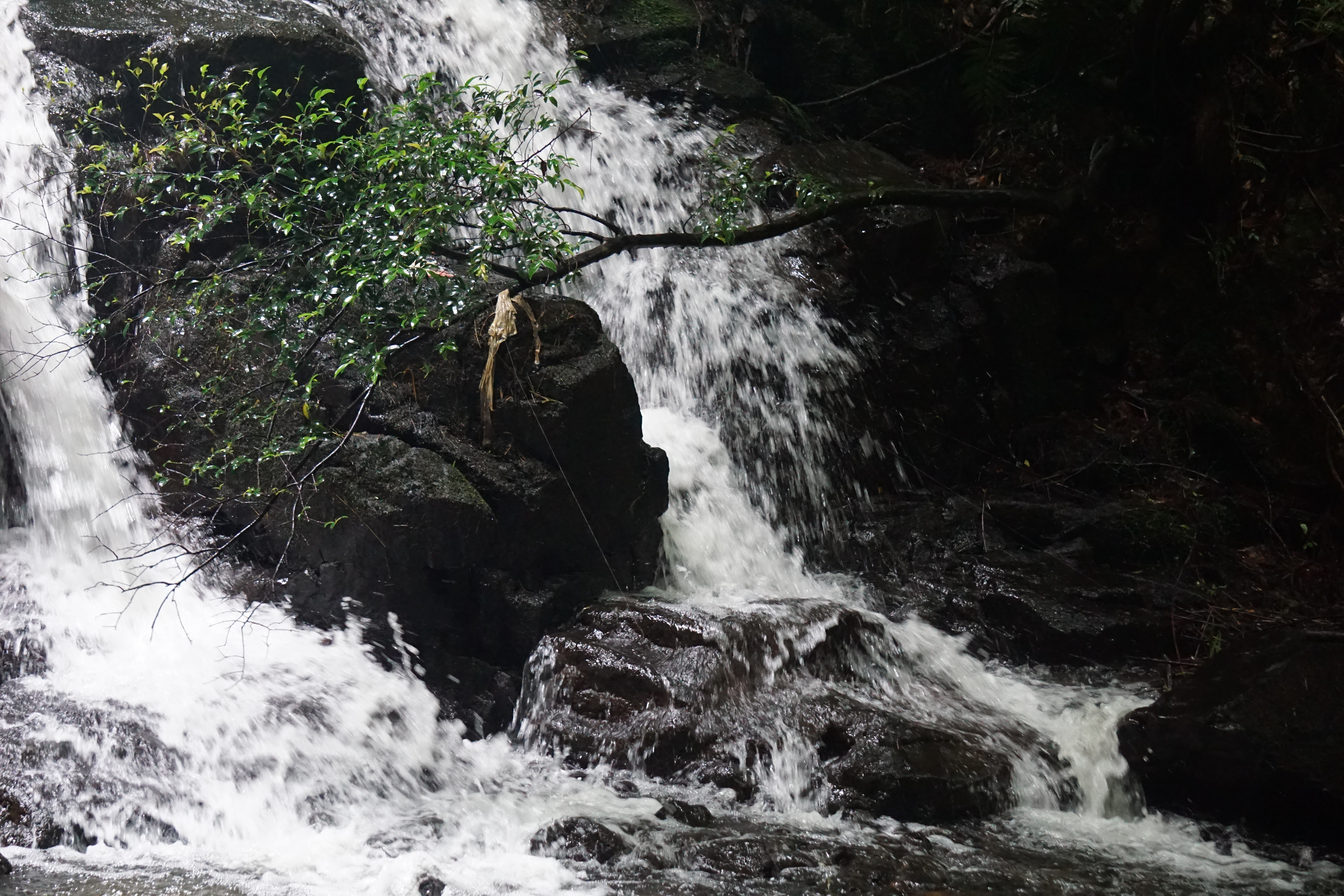 滝壺に注ぐ