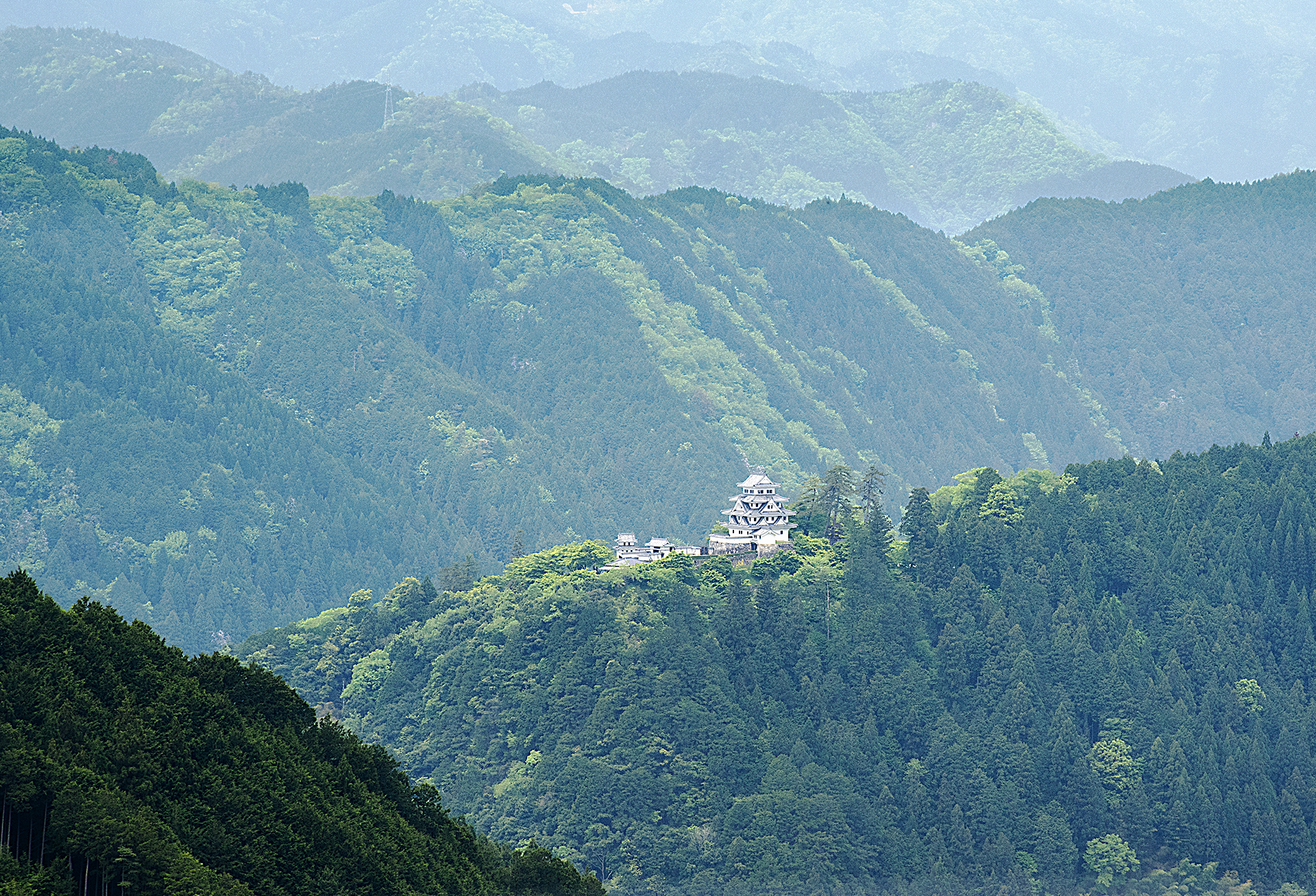 新緑に栄える山城