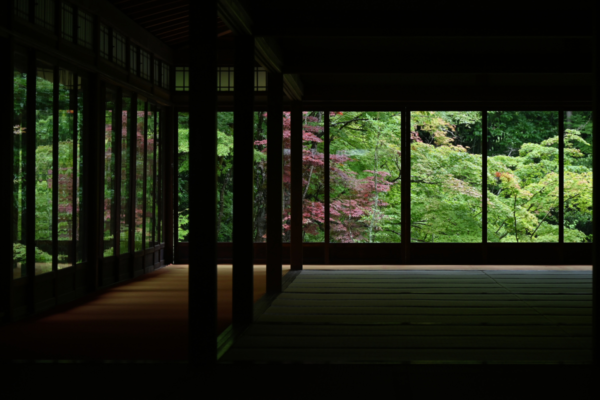 やすらぎの世界
