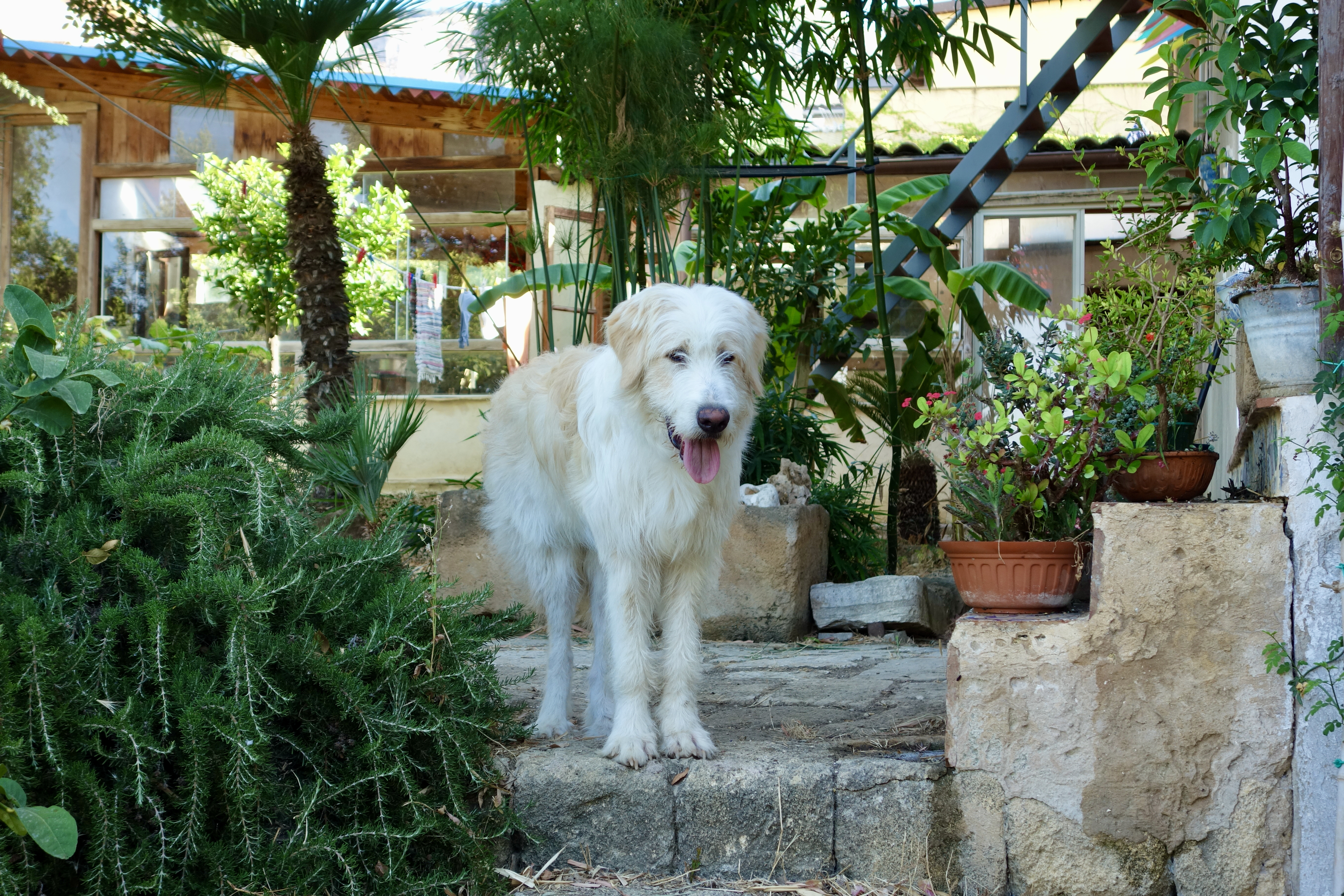 これでも、生後8カ月です