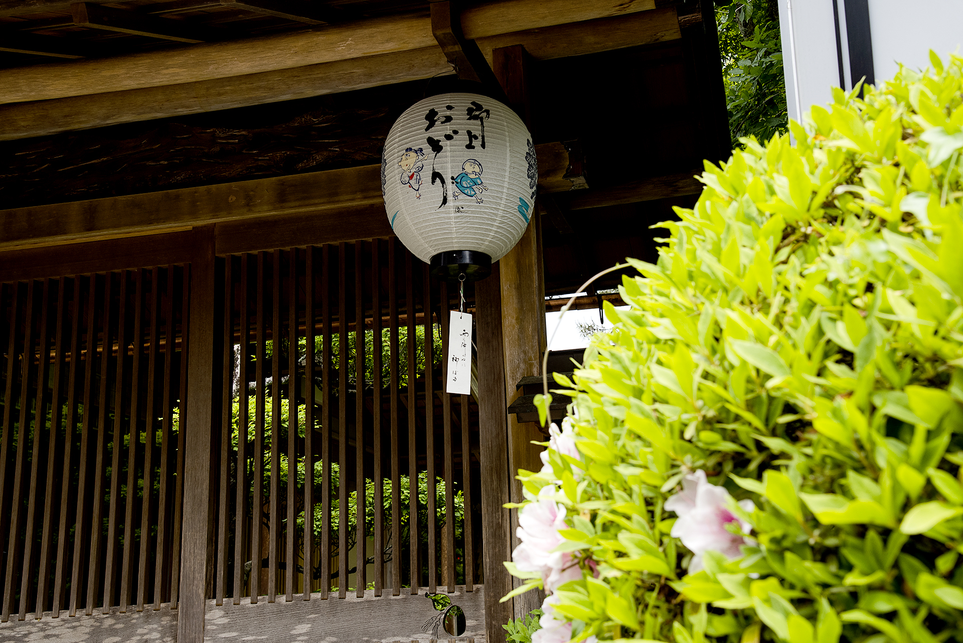 郡上おどり
