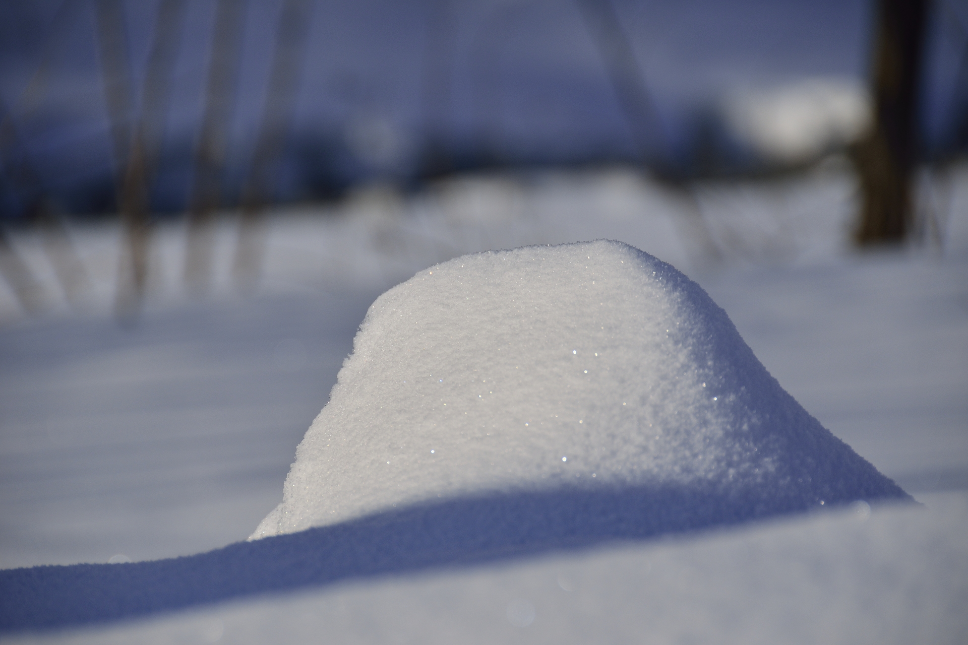 この雪あげます