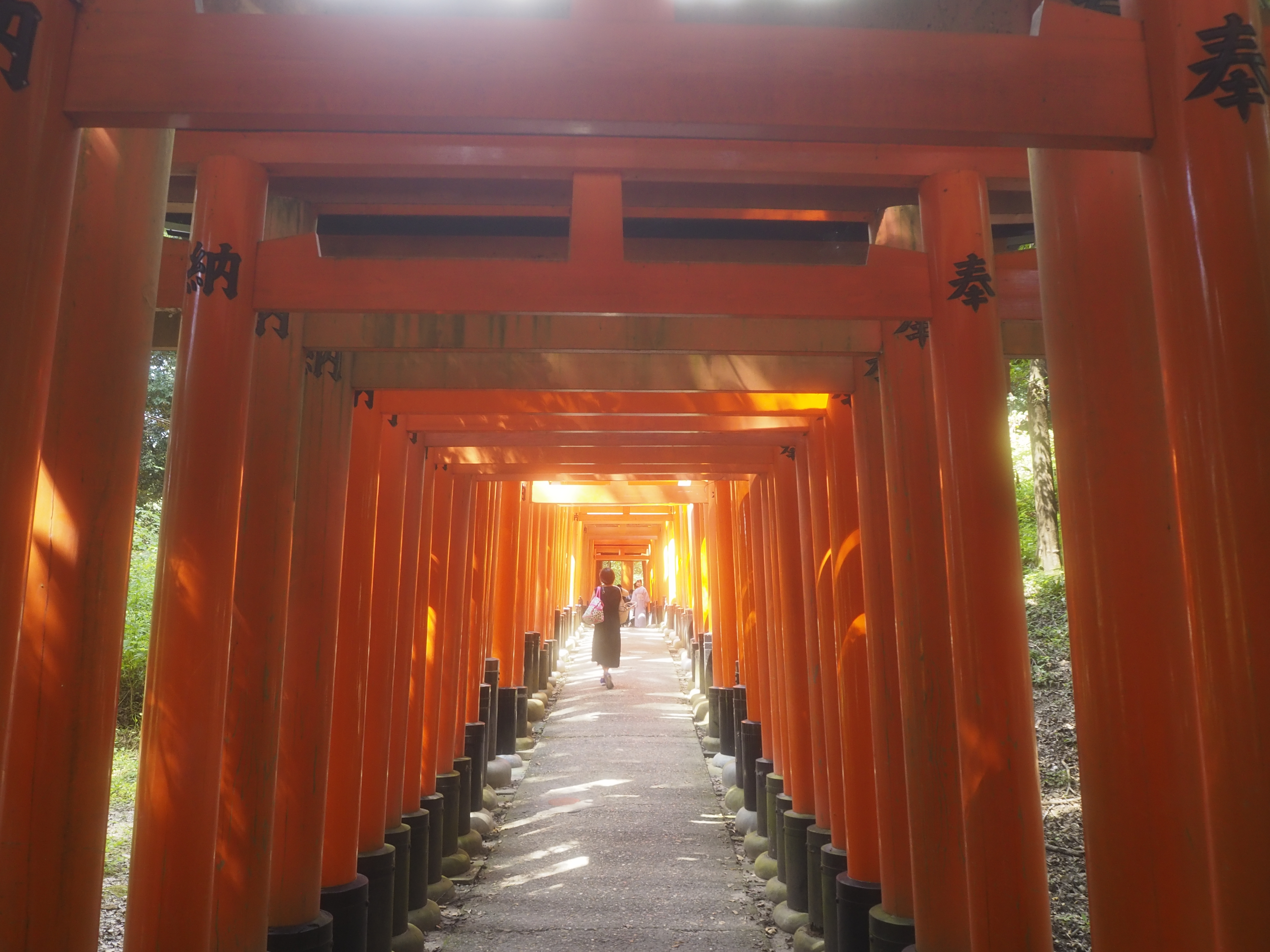 千本鳥居の向こう側。