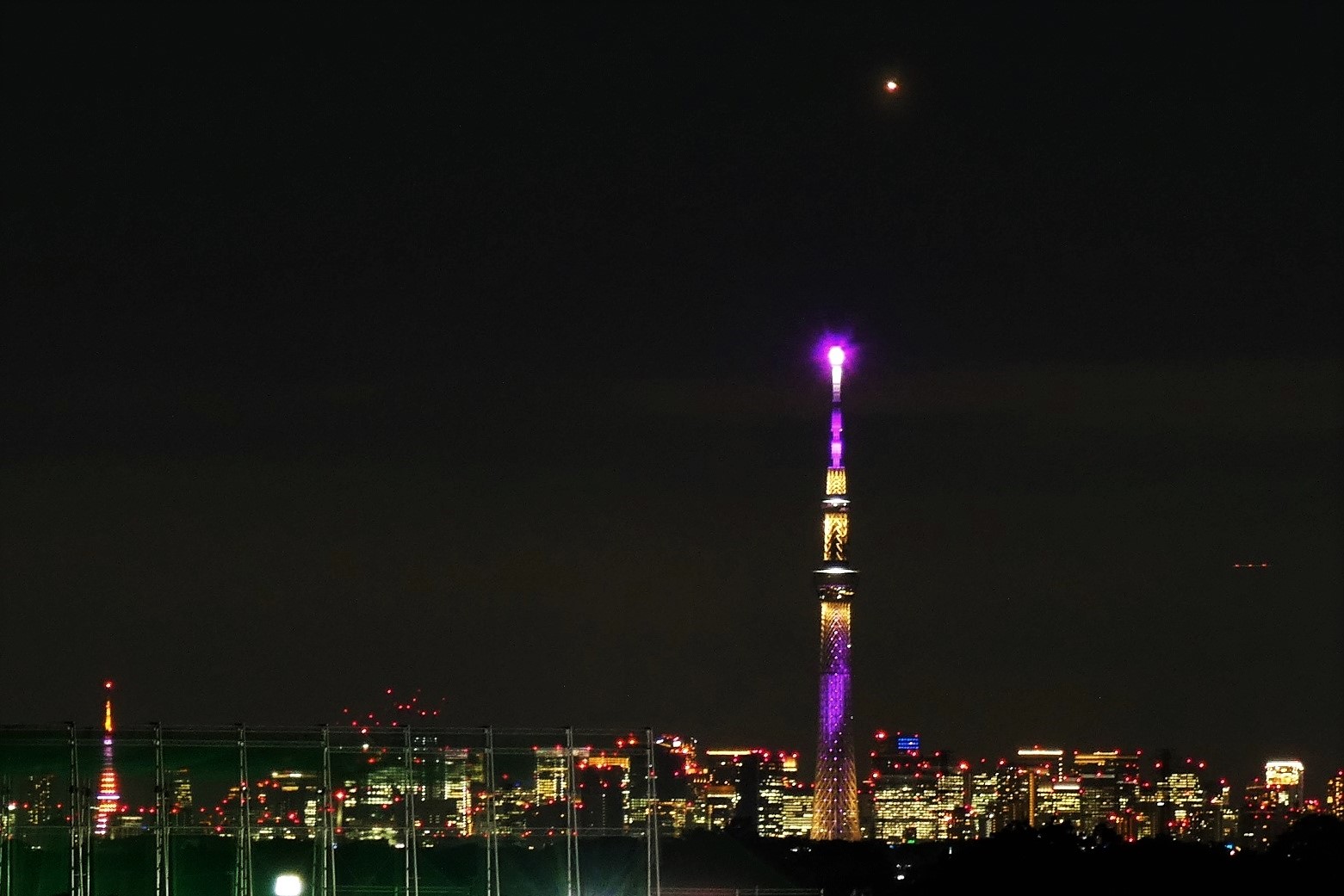 SKYTREE「雅」
