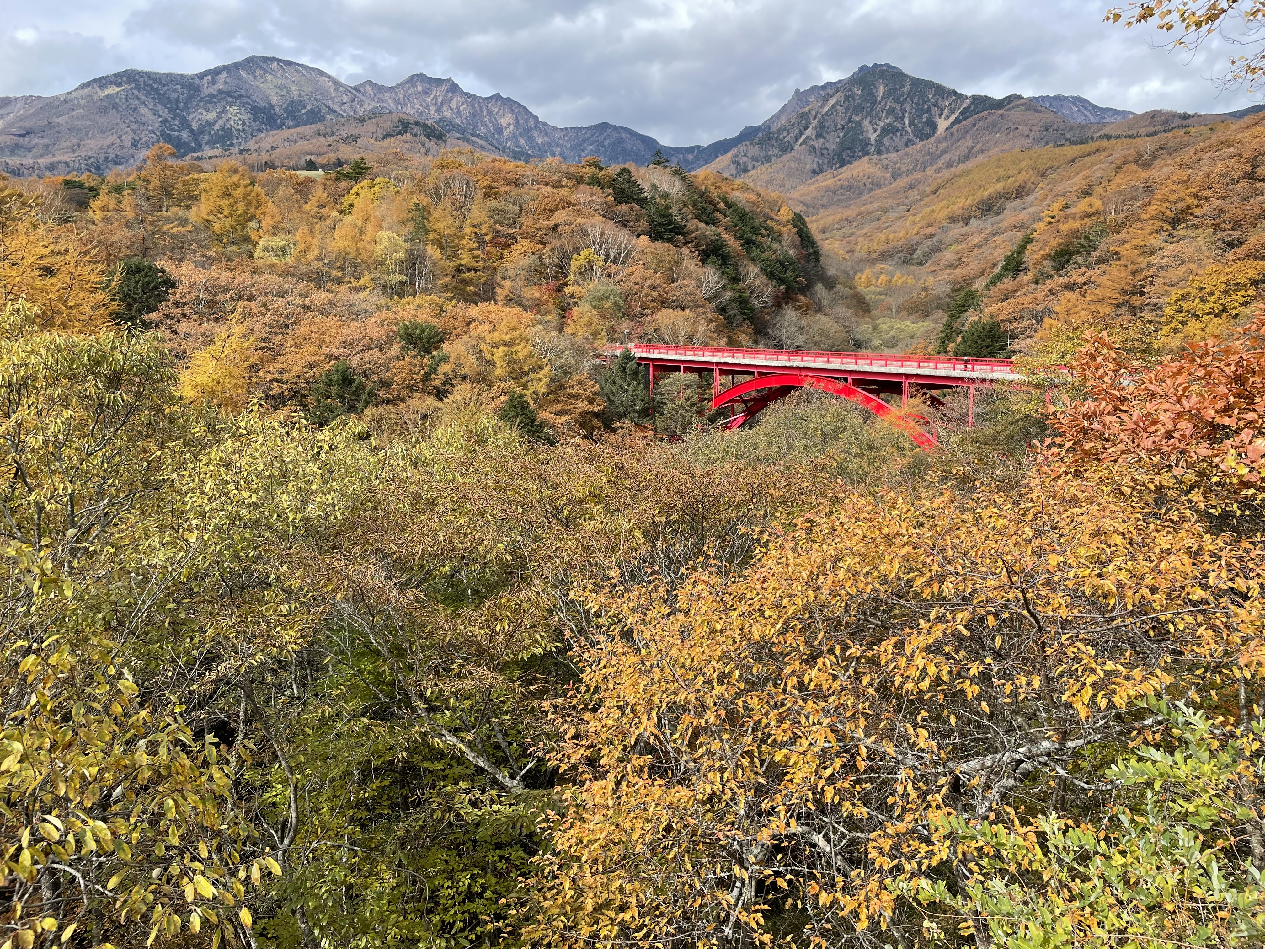 紅葉が広がる風景・2021年11月1日