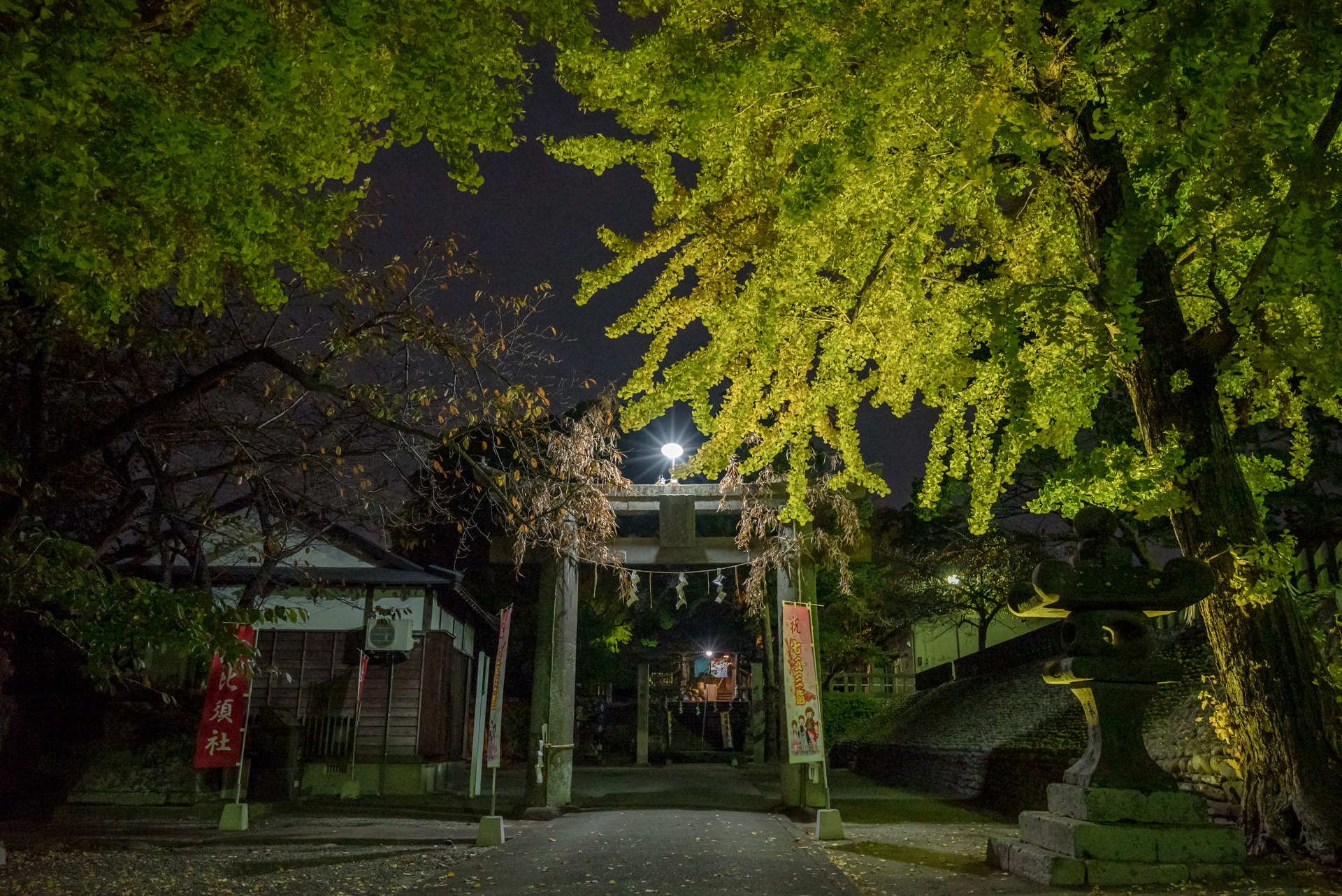 ライトアップ八幡さま