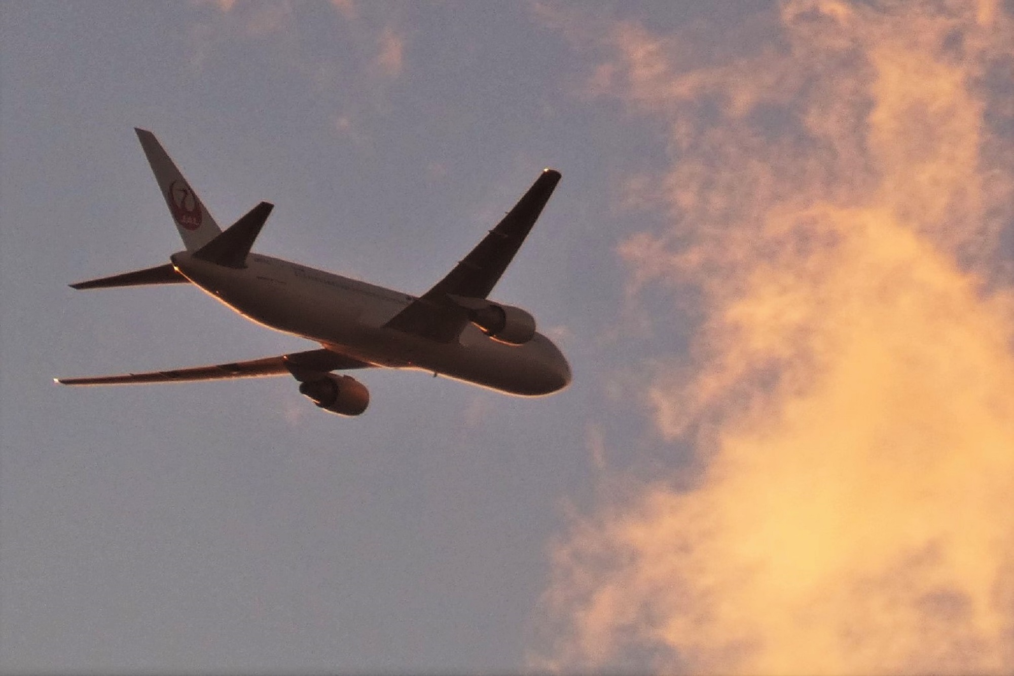 夕日に輝くJAL