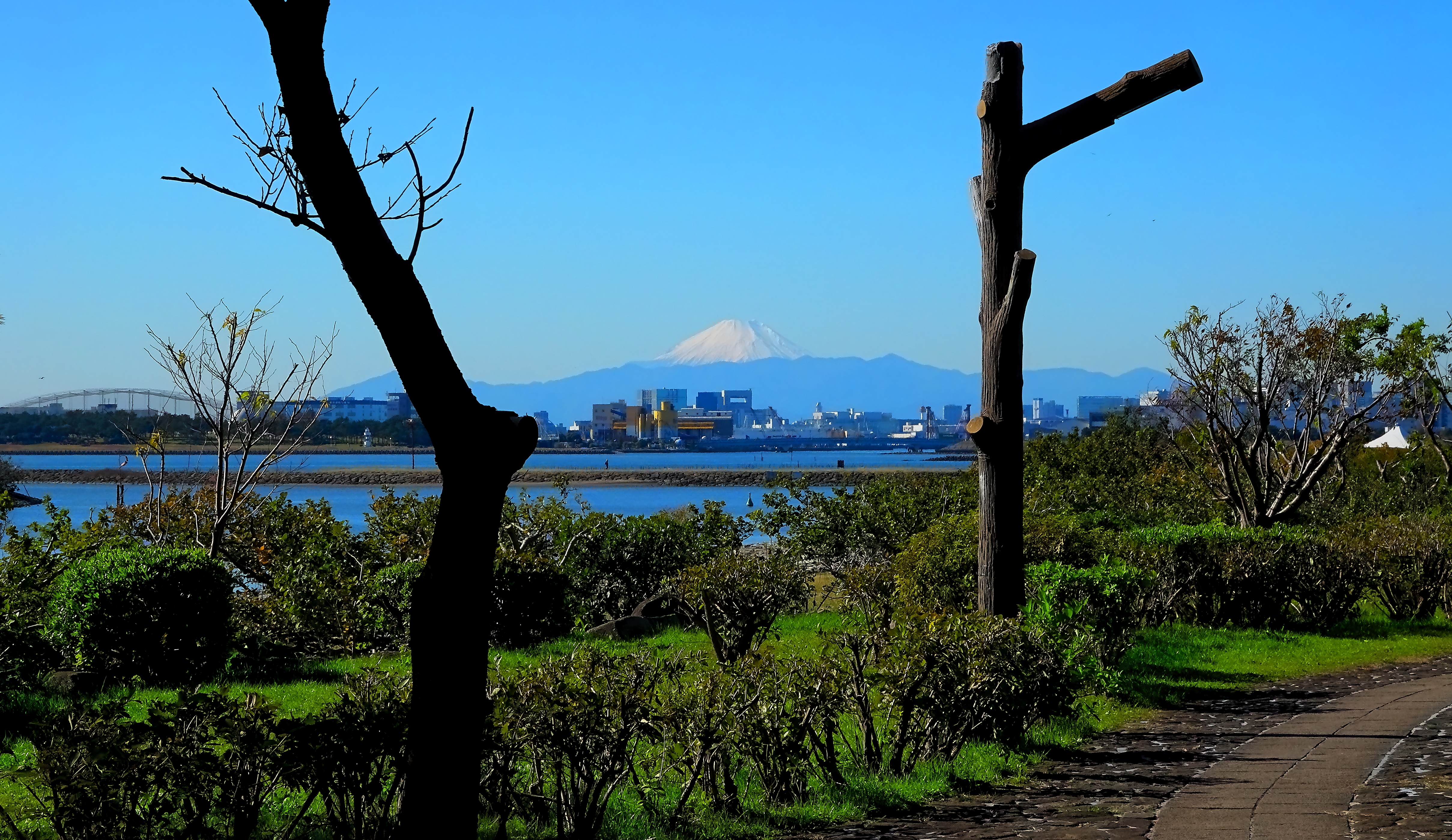 渚の先の富士山