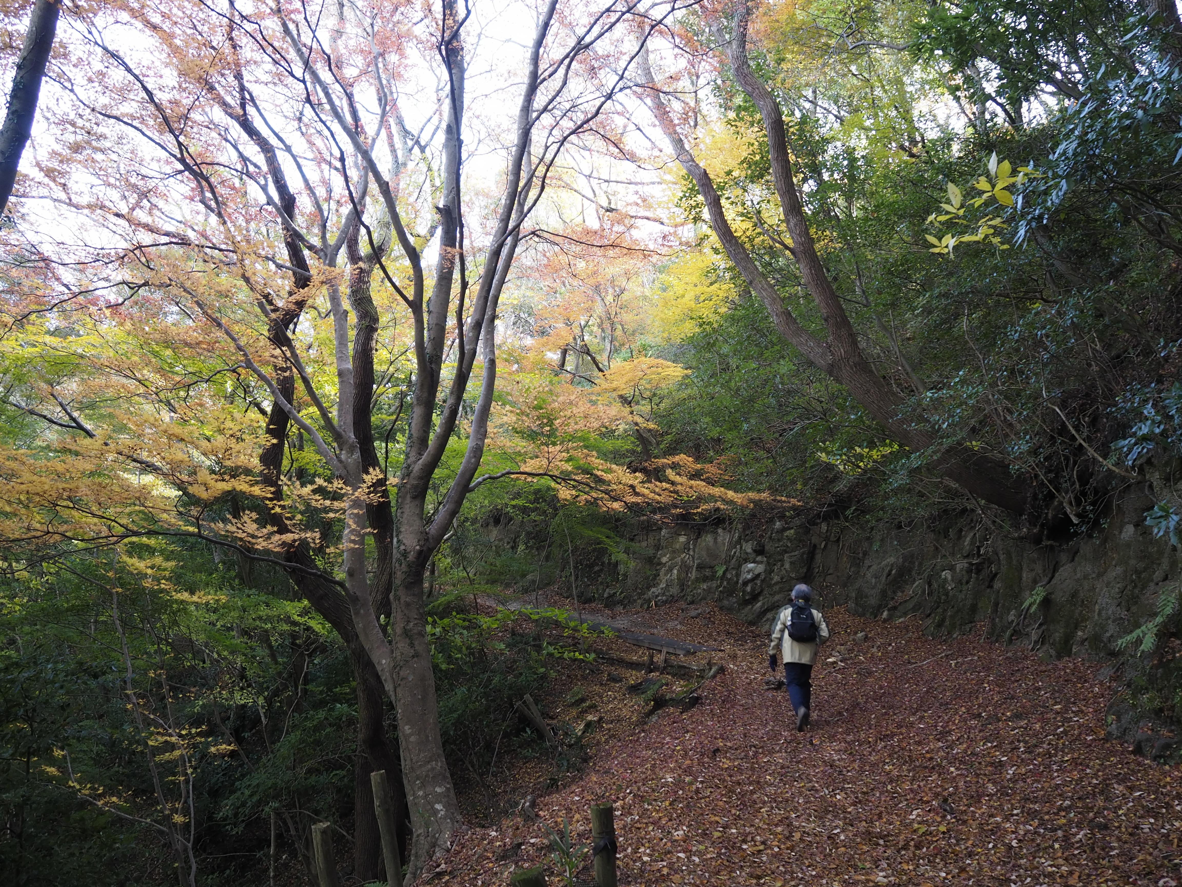 晩秋、紅葉の道標。