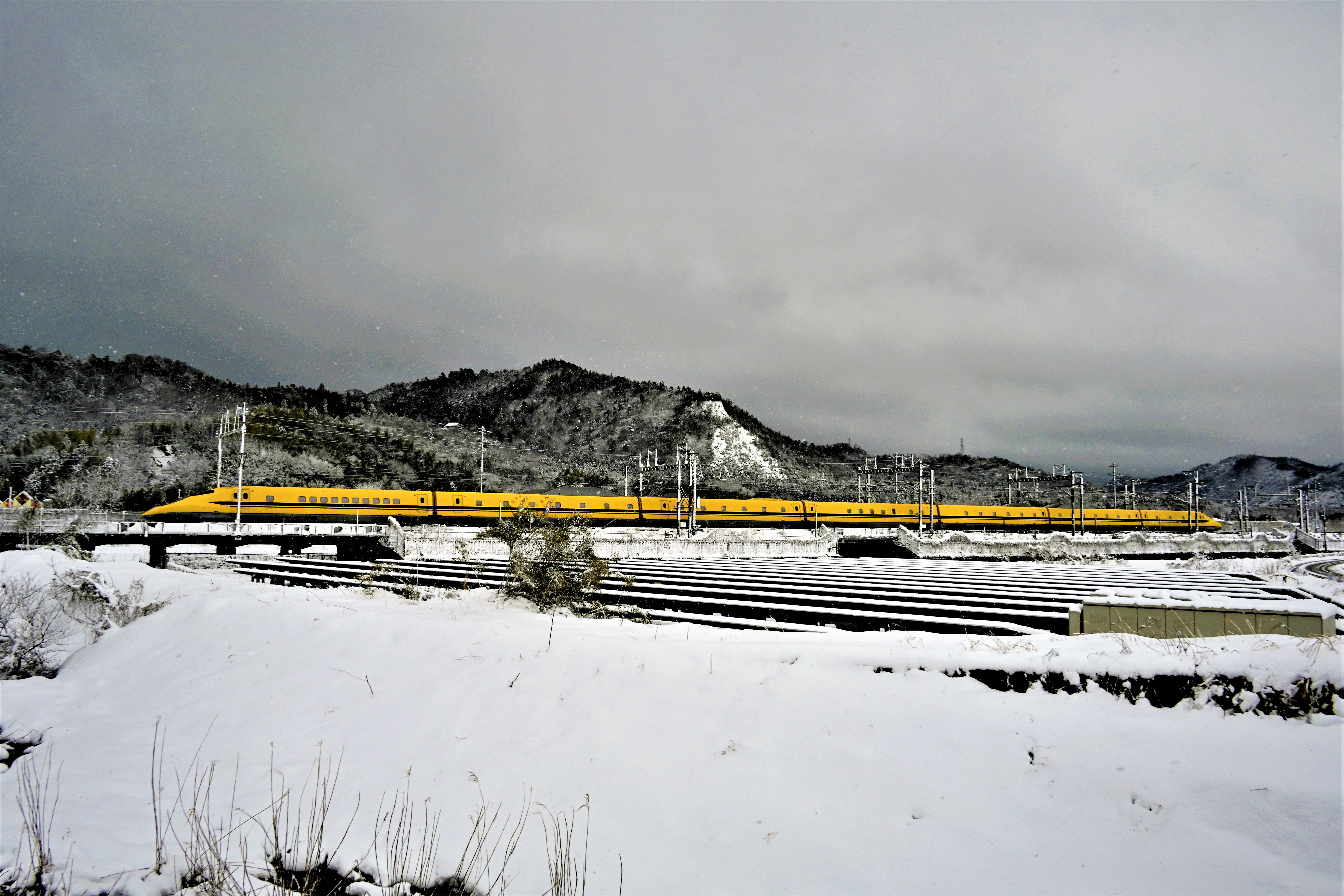 雪の日のドクターイエロー
