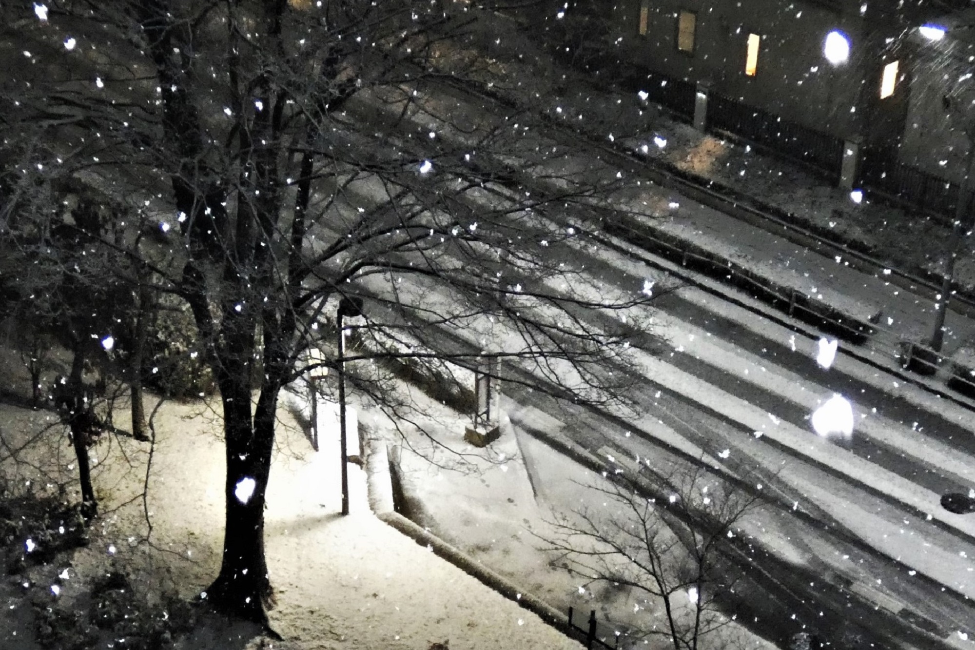 降雪の夜のバス停