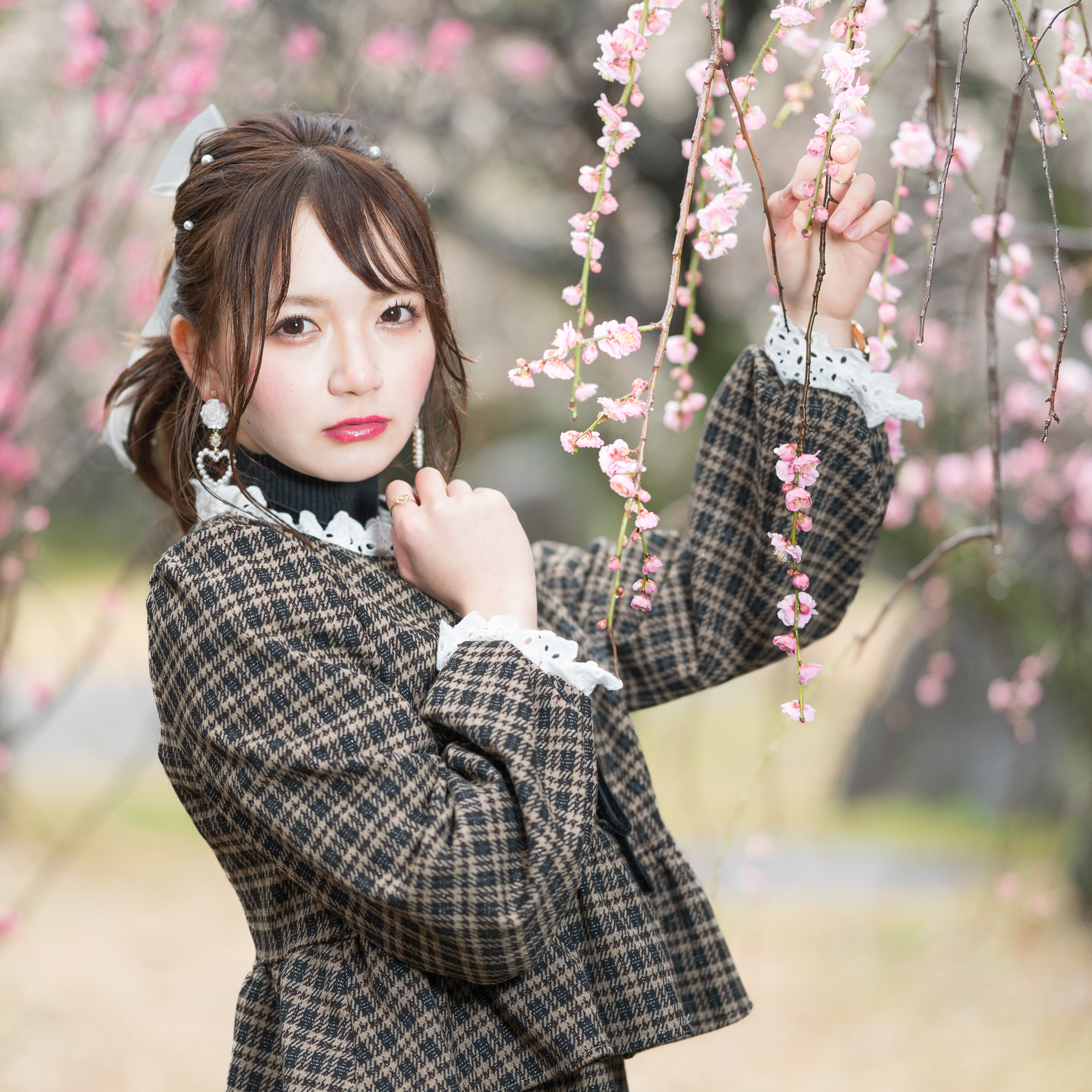 梅咲く公園