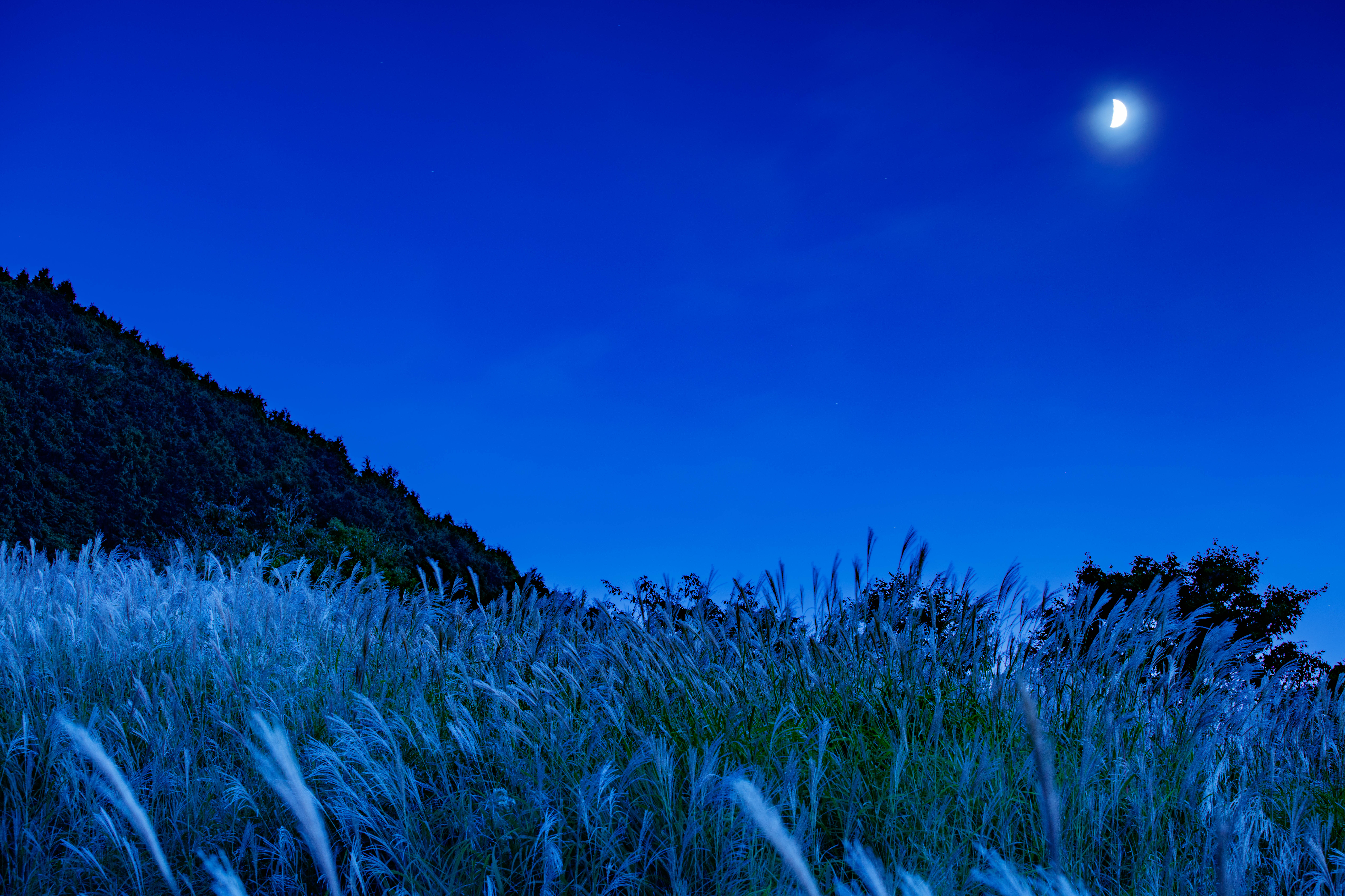 moon light