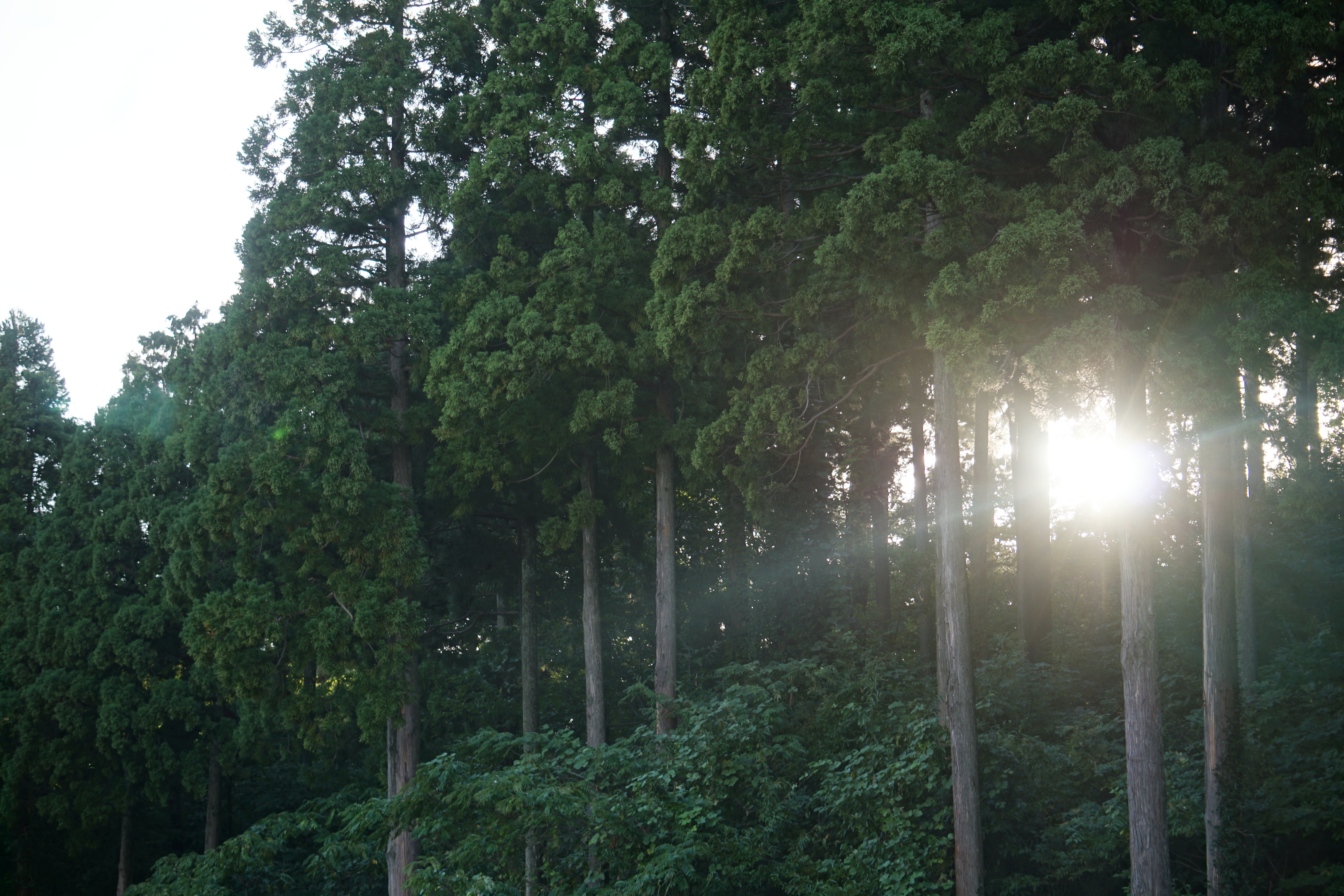 山に沈む夕日