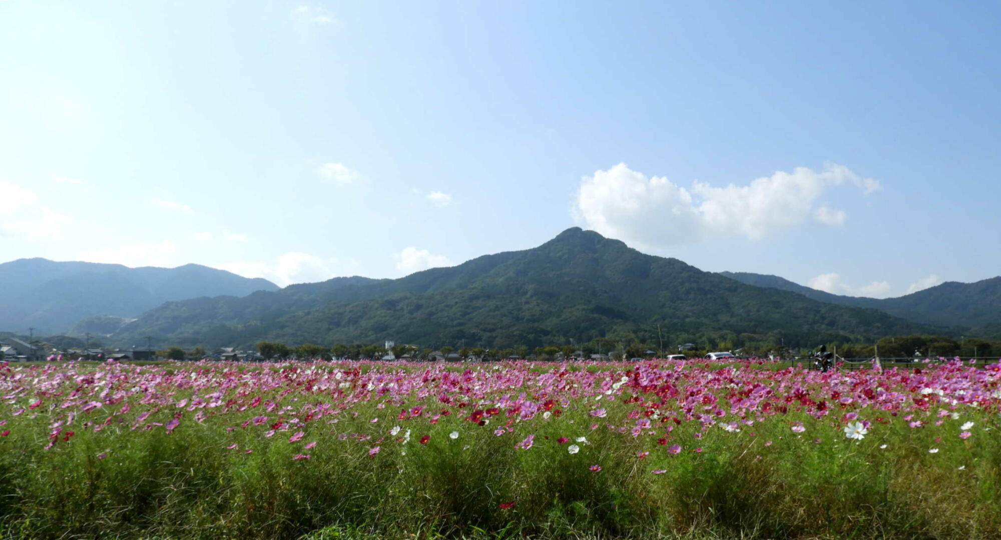 秋桜・秋空・飯盛山.