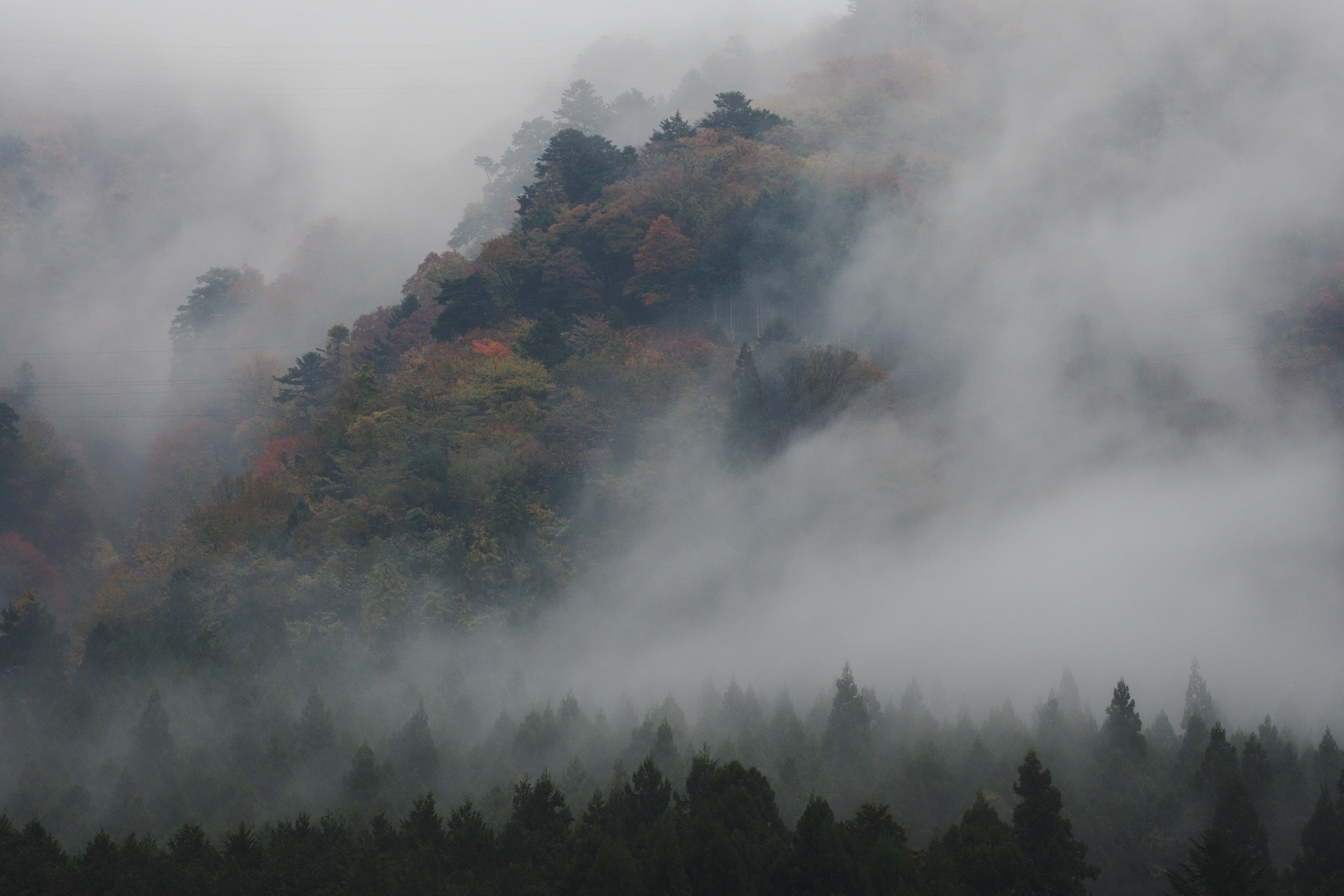 幻霧に沸く