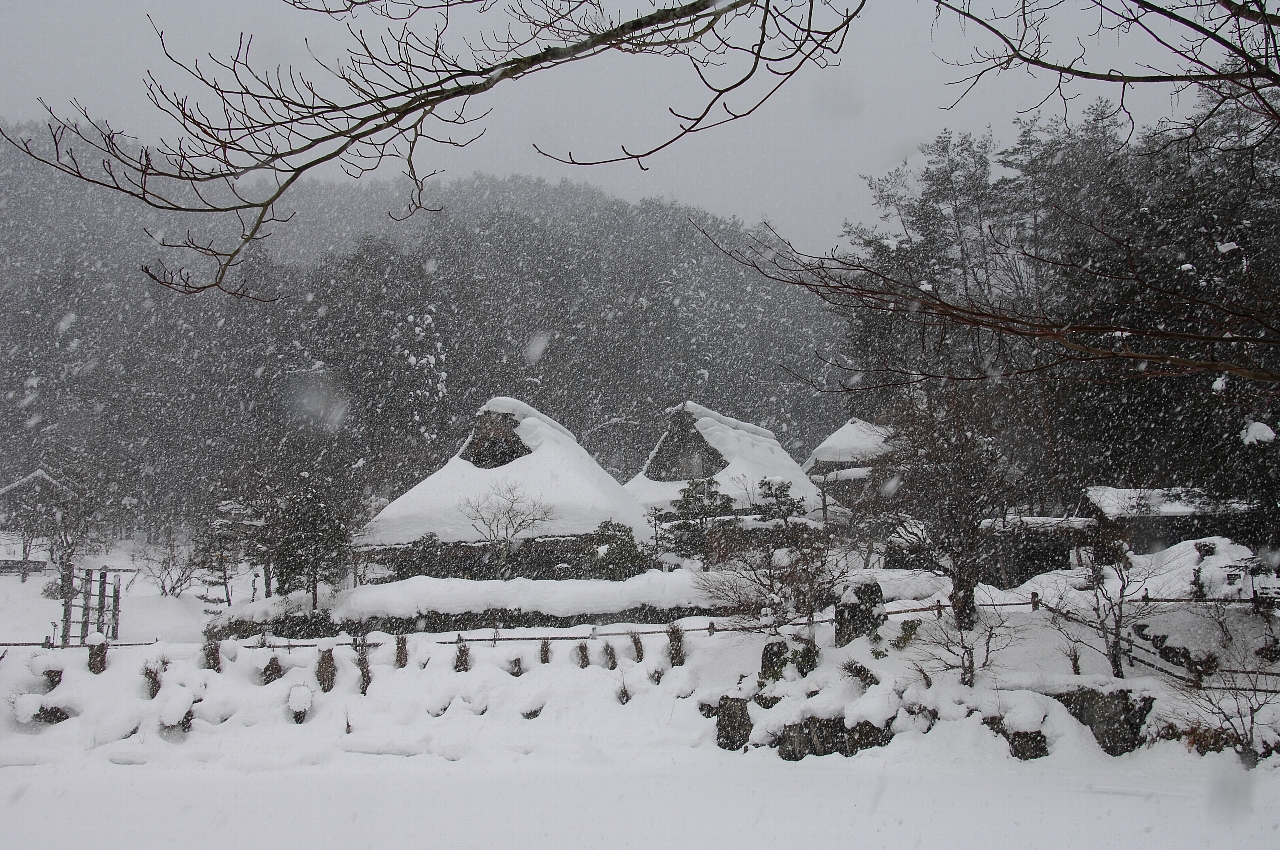 雪が降る