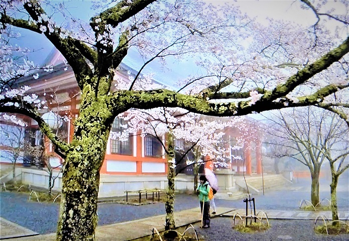 京都歴史的名刹鞍馬寺