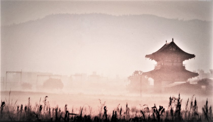 奈良雫煌めく早朝