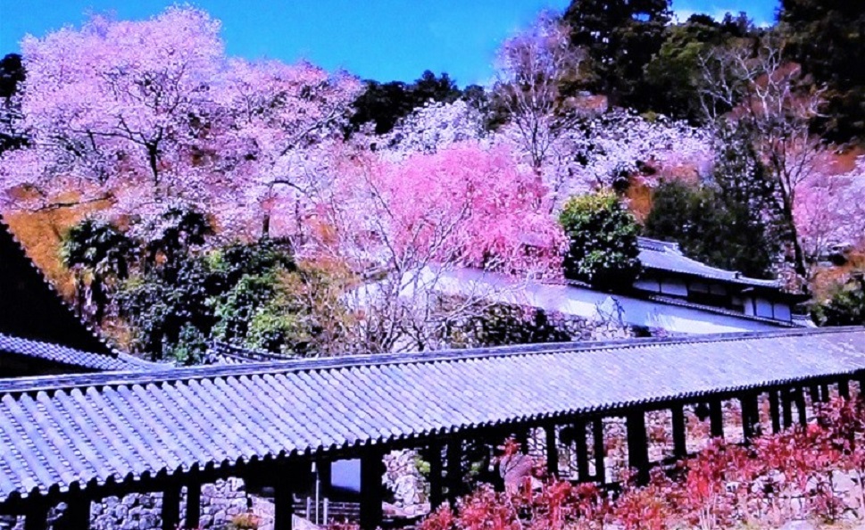奥奈良の名刹長谷寺